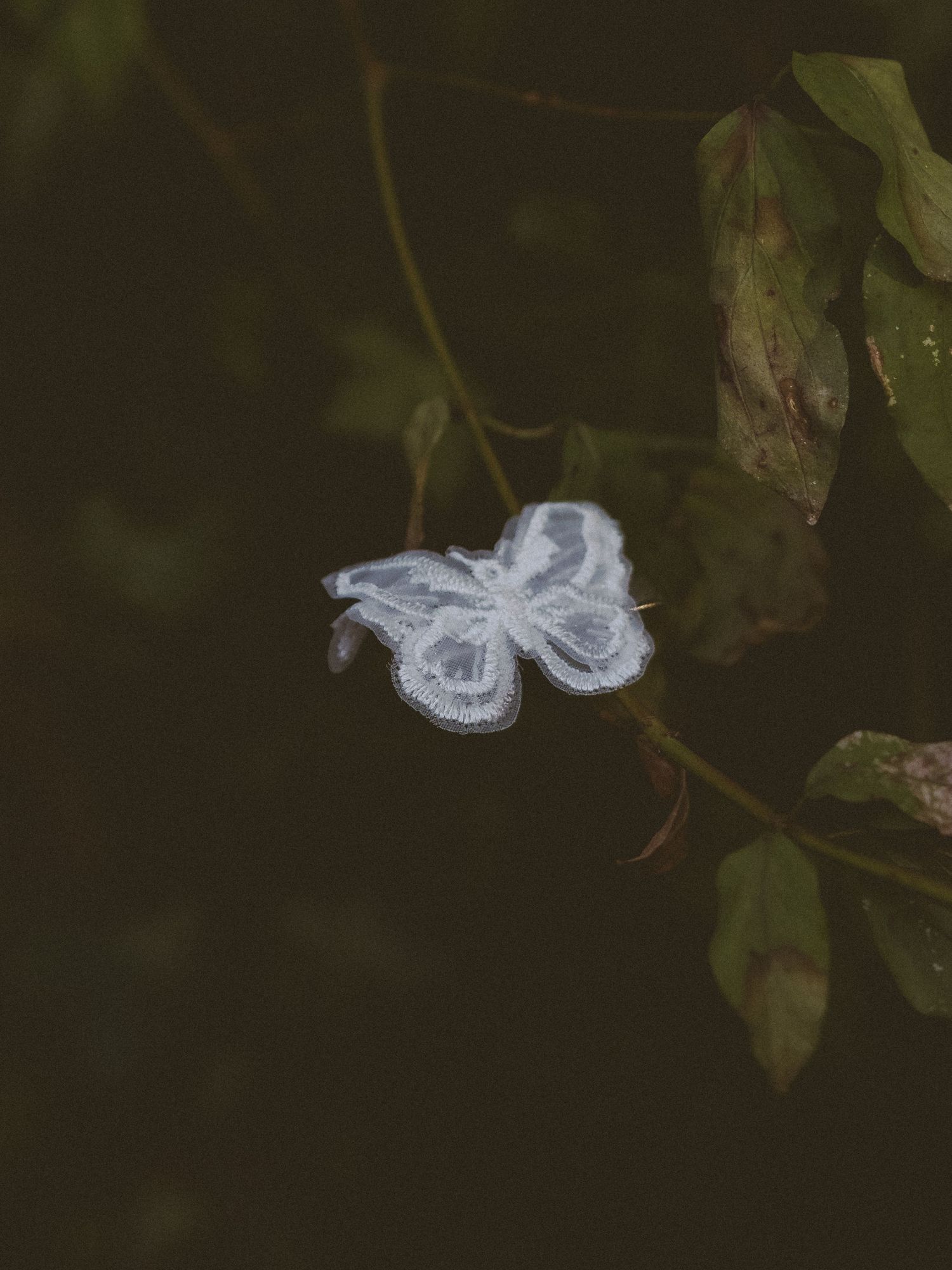 Delicate white lace butterfly ornament resting on green leaves in dark forest.