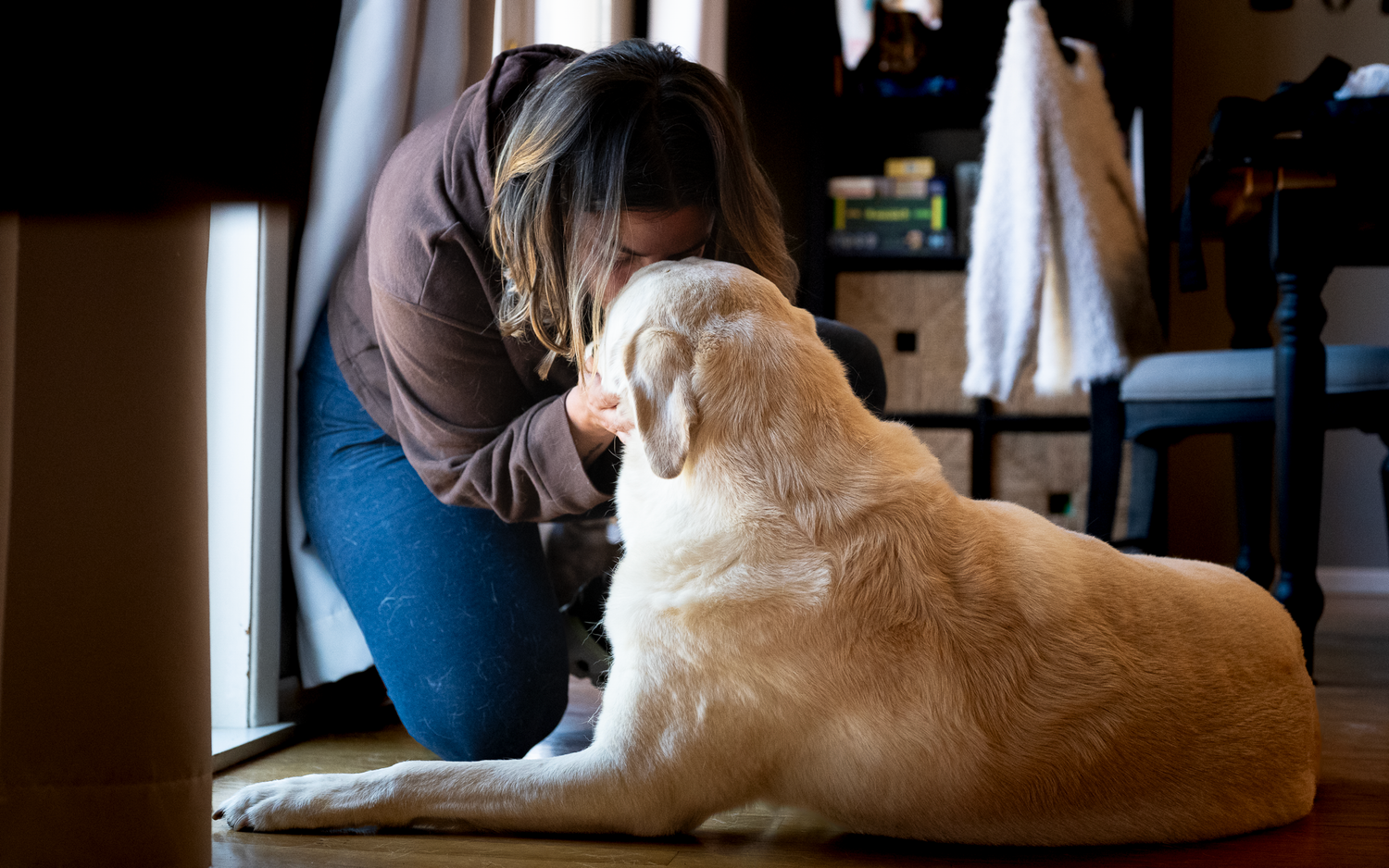 pets end of life holiday