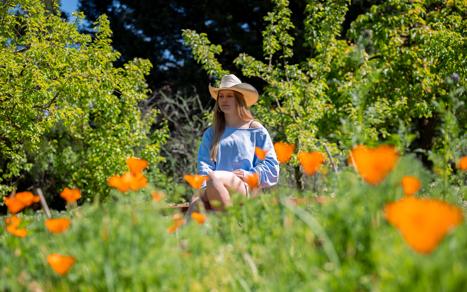 country portrait cowgirl hat flowers nature senior portrait photos season