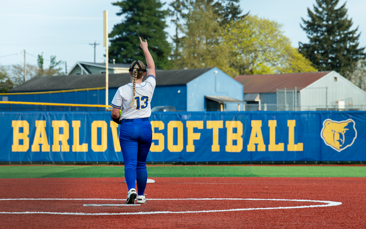 softball sports team game celebration action shots