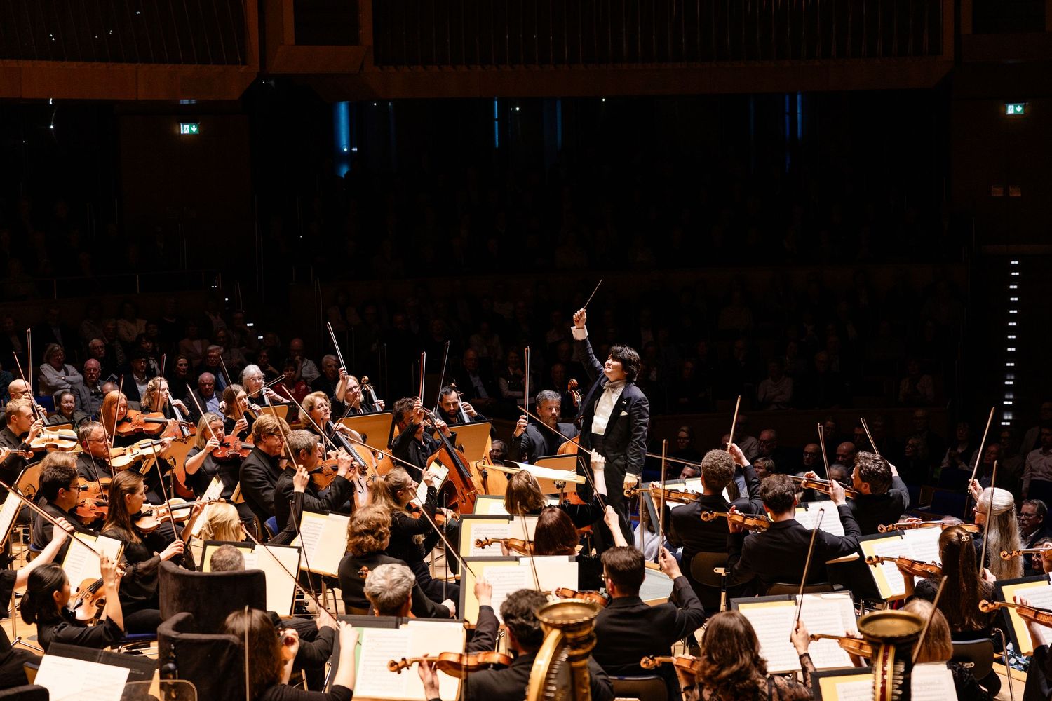 Orchestra conductor leads musicians in a grand concert hall performance, with strings and brass players under dramatic stage lighting.