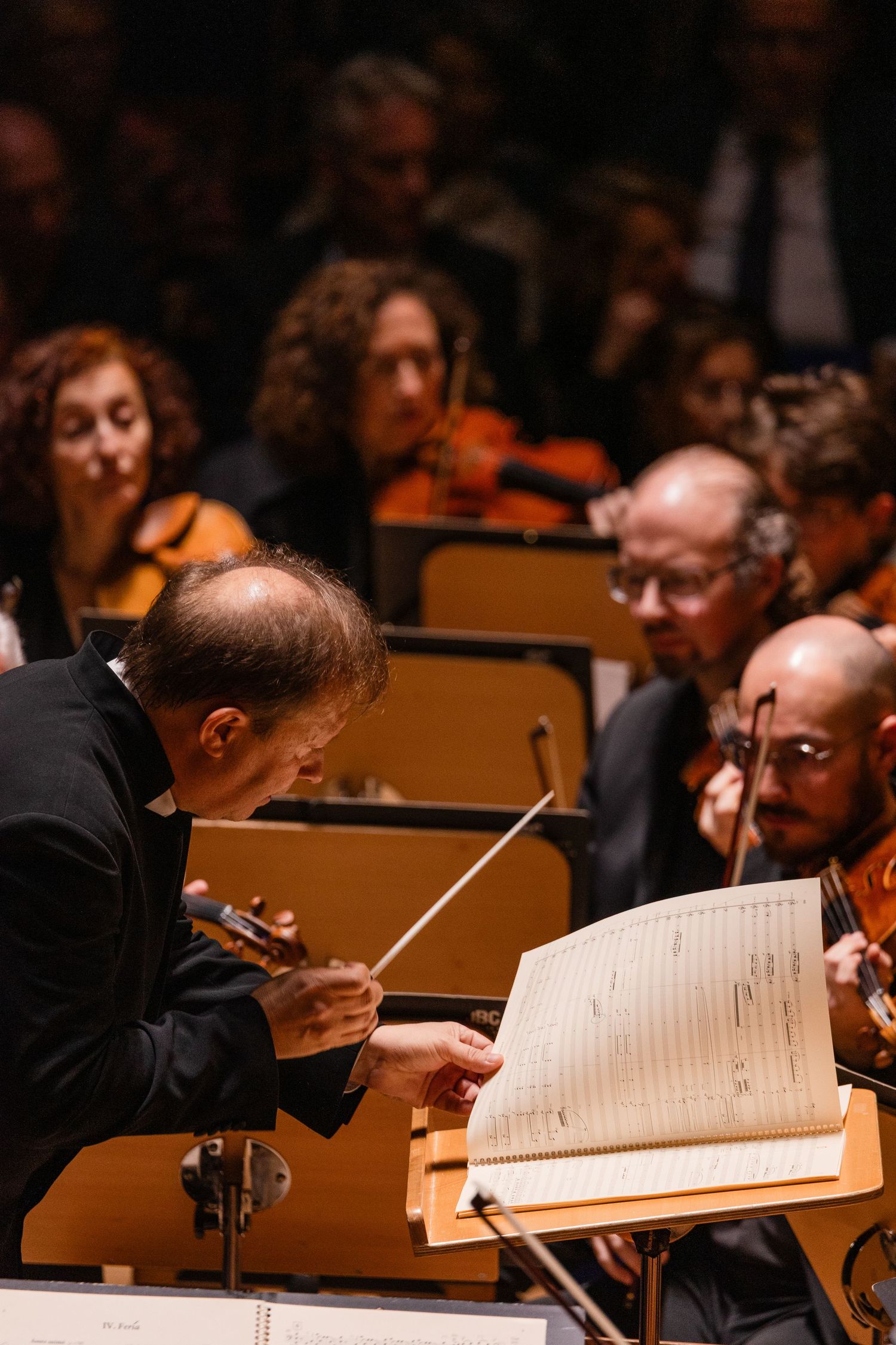 Orchestra conductor leading musicians with a baton while reading sheet music during a live classical performance.
