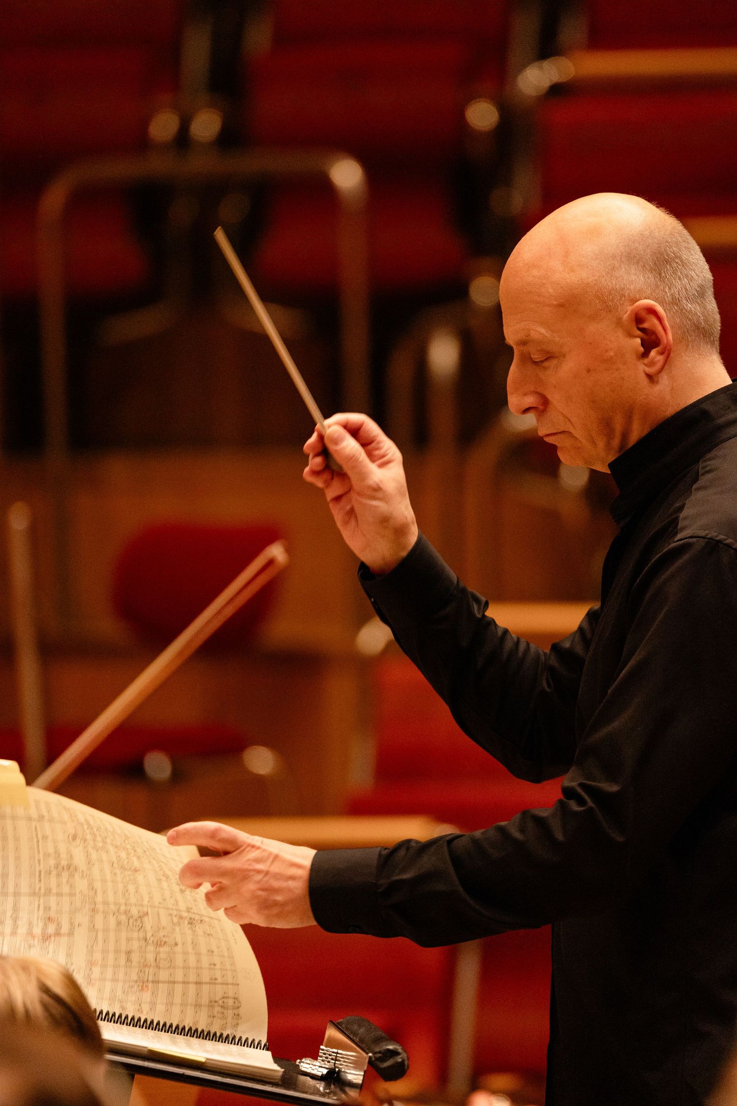 Bald orchestra conductor holding a baton while reading sheet music on a podium in a concert hall.