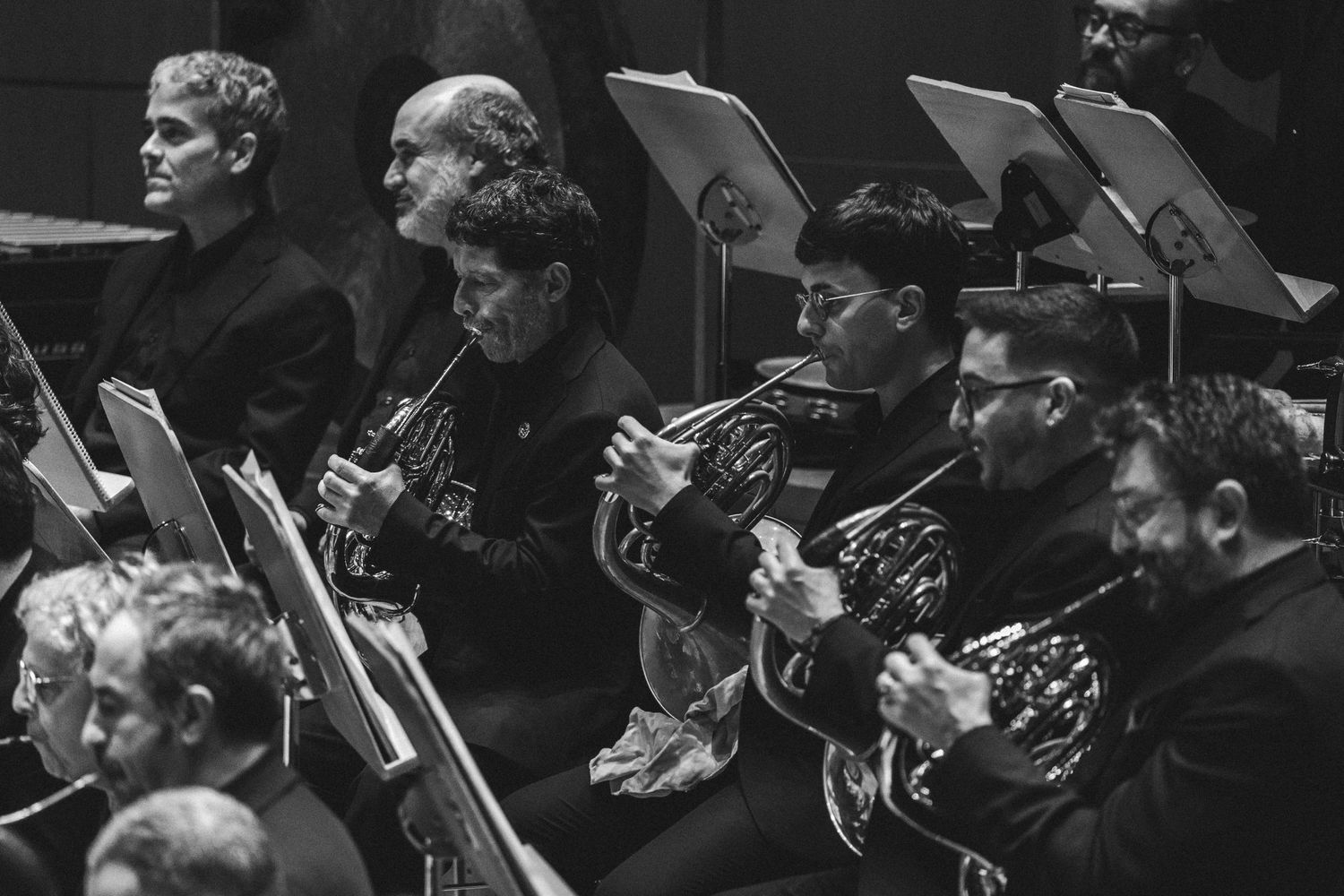 Black and white photo of orchestra musicians playing French horns during a classical concert performance.