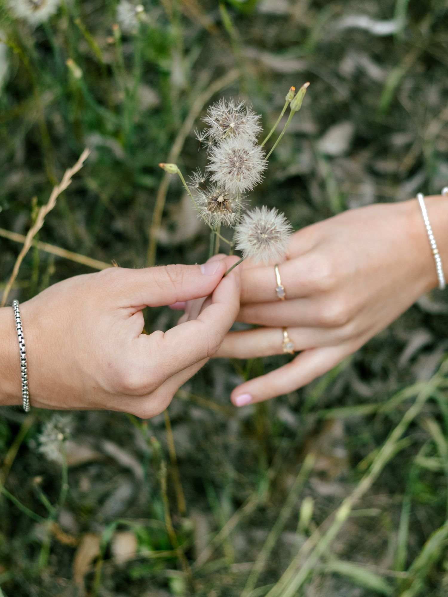 Two hands with delicate rings and bracelets gently pass a dandelion seed head against a soft grassy outdoor background.