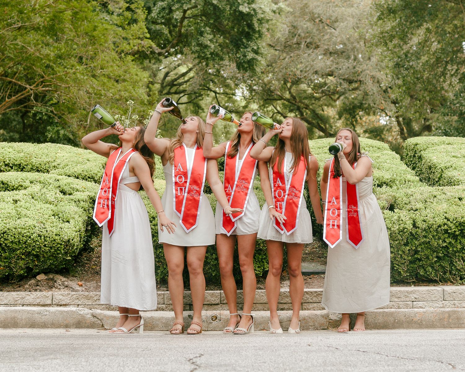 Five women in white dresses and red graduation stoles tilt champagne bottles to their lips while celebrating outdoors by green hedges.