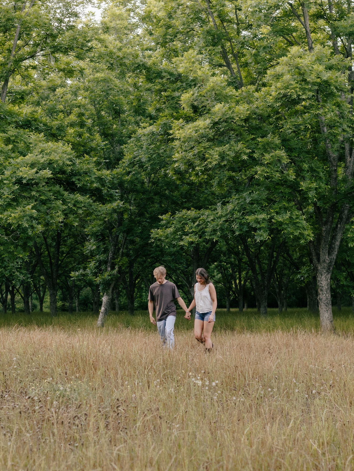 Couple holding hands walking through a tall golden grass field toward a lush green tree grove on a quiet summer day.