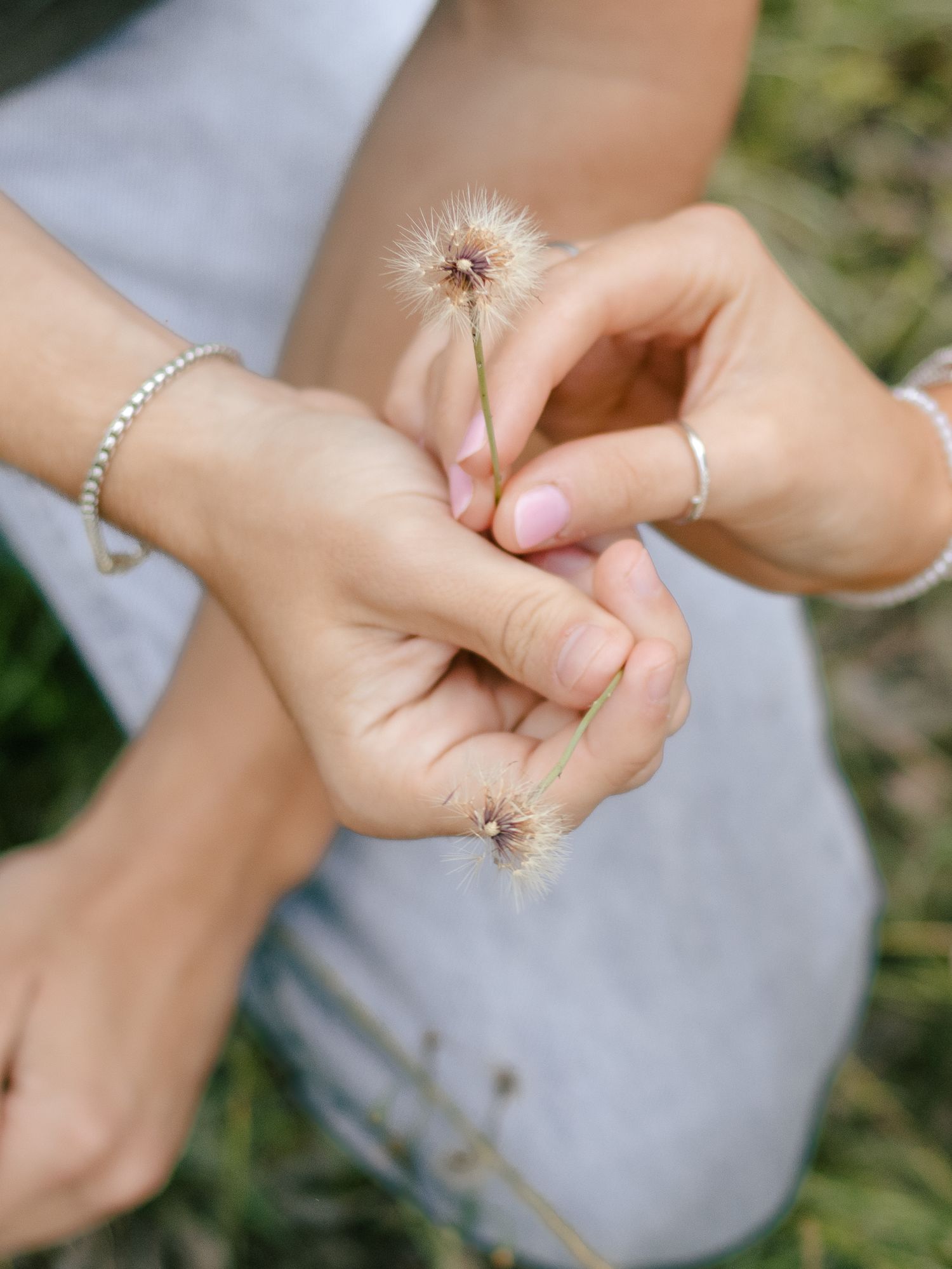 Close-up of two hands gently holding delicate dandelion-like seed heads, with a beaded bracelet and silver ring, over green grass.