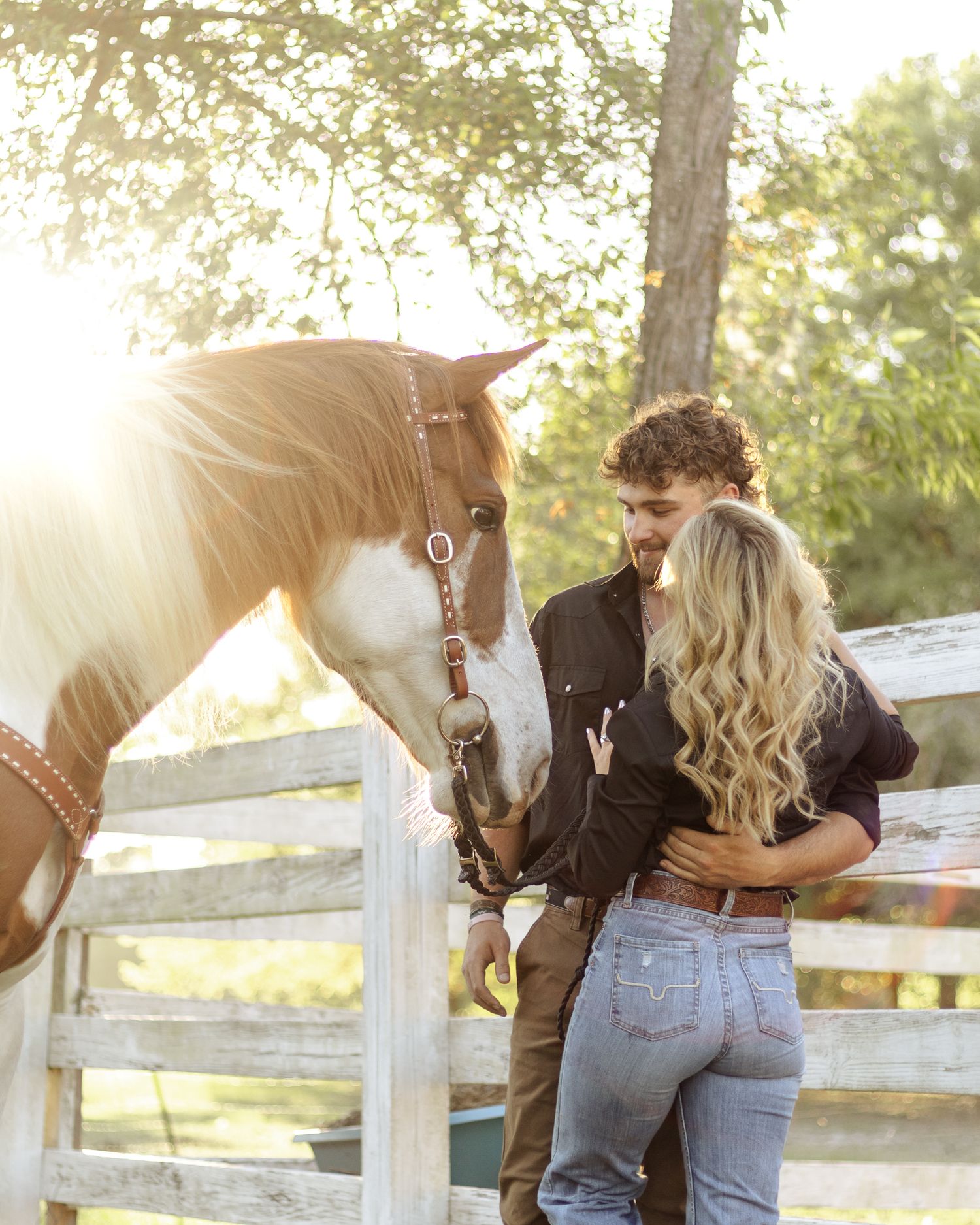 A couple embraces beside a paint horse in a bridle at a wooden fence, with warm golden sunlight glowing through the trees.