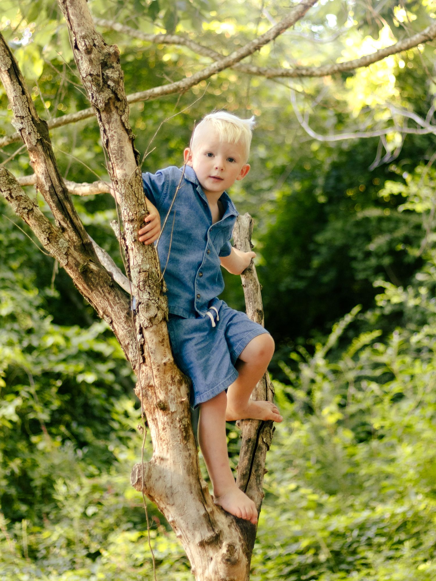 Blond boy in a blue denim shirt and shorts sits barefoot on a tree branch, surrounded by lush green summer foliage.
