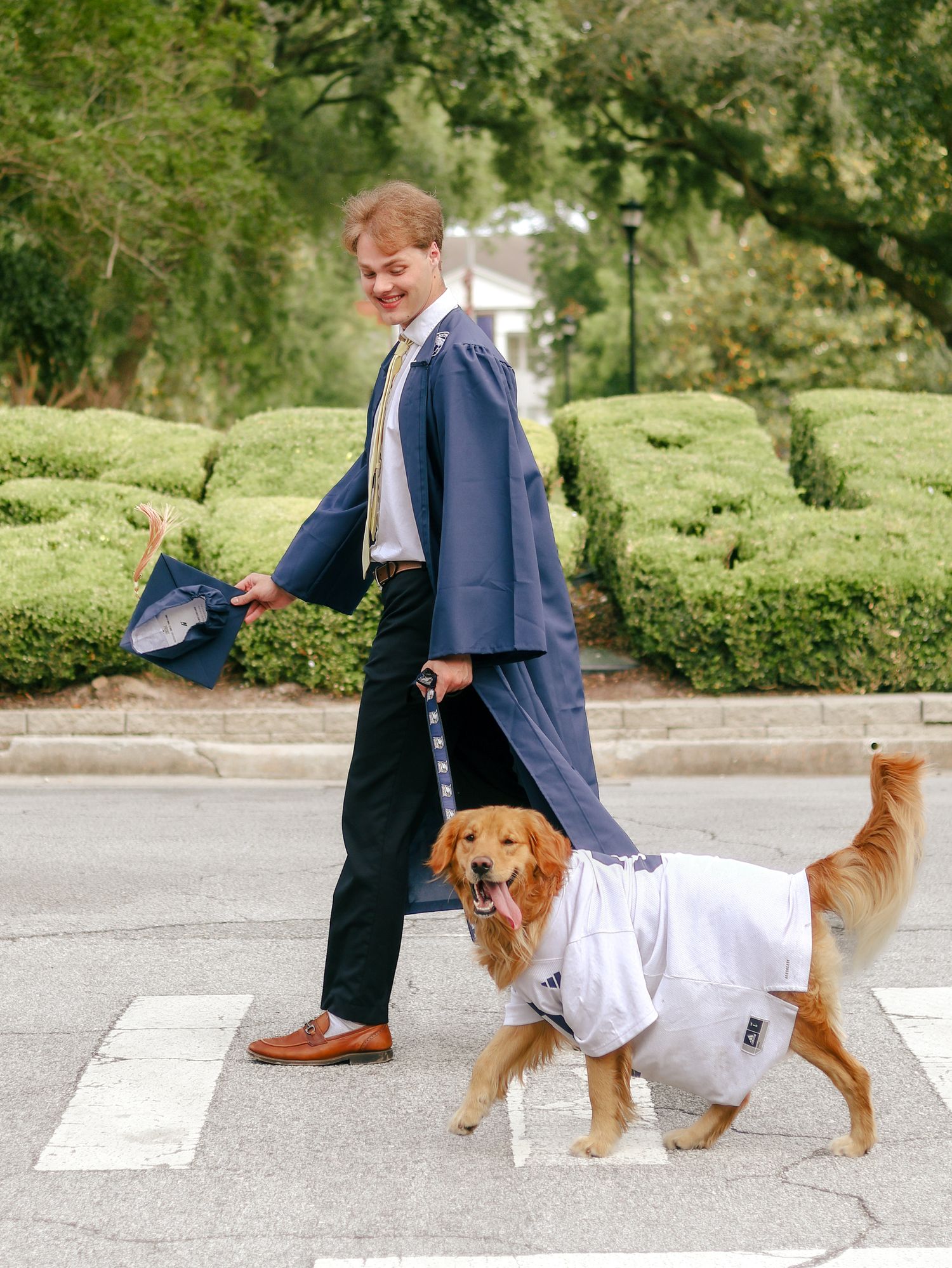A smiling graduate in a navy gown carries a cap and walks a golden retriever wearing a white graduation gown across a crosswalk.
