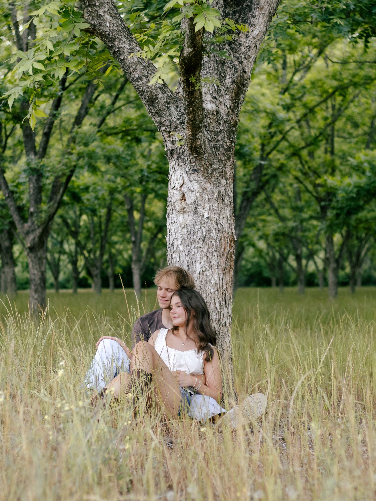 A couple sits close together in tall golden grass, leaning against a large tree trunk in a peaceful orchard with rows of trees behind them.