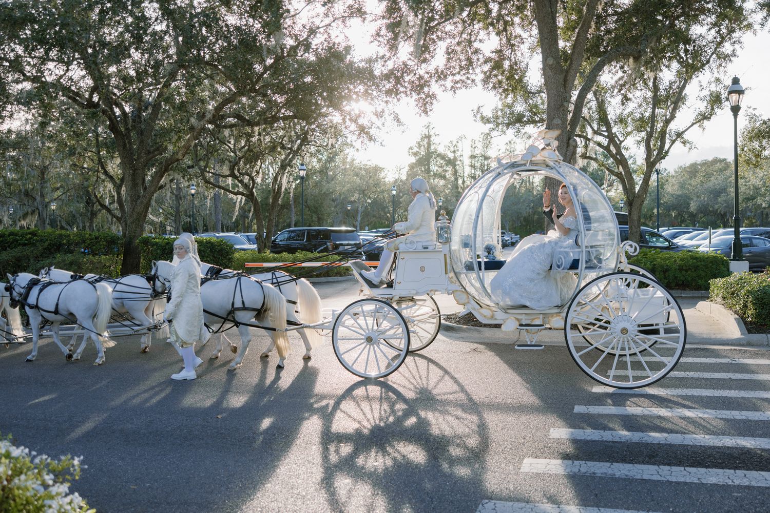 Bride and groom ride in glowing white Cinderella horse-drawn glass carriage through tree-lined Disney venue.