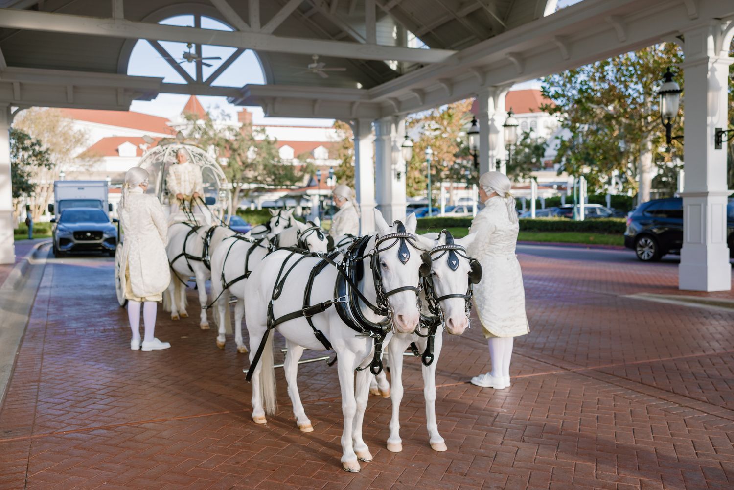 White horses pull elegant Cinderella glass carriage with costumed footmen at Disney World resort.