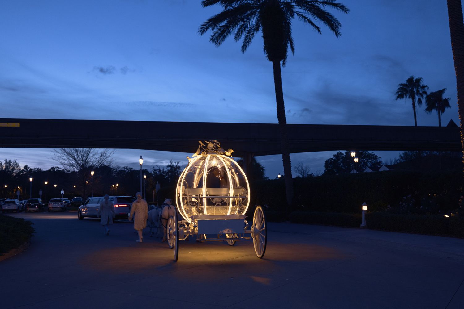 Cinderella's illuminated glass carriage glows at dusk near palm trees at Disney World.