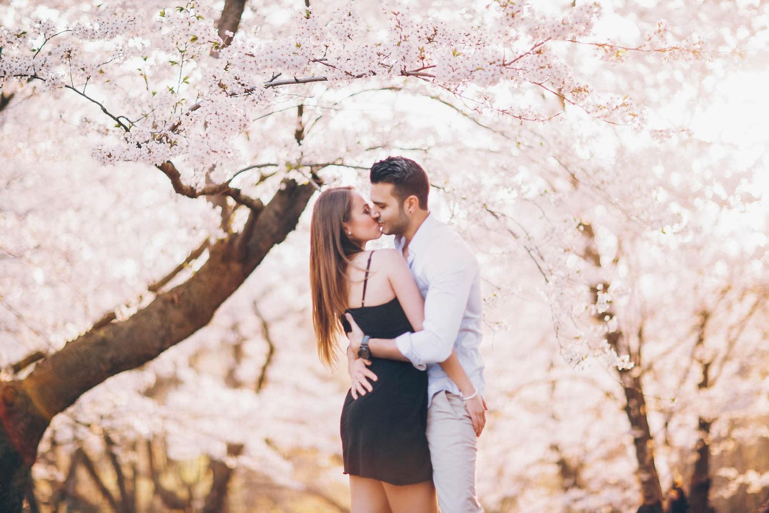 Couple sharing a romantic kiss under blooming cherry blossom trees in spring.