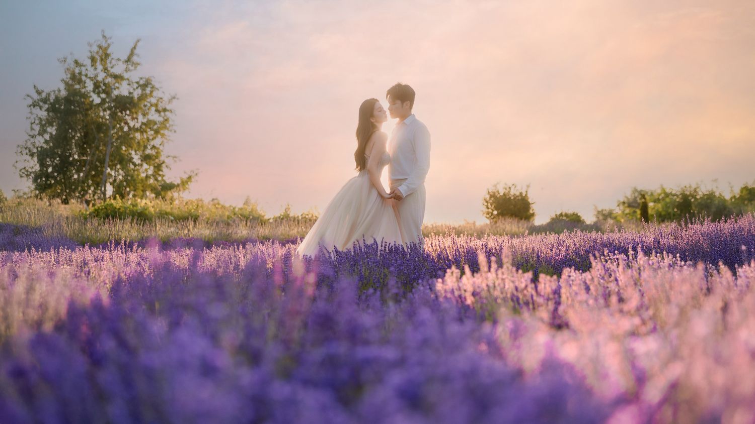 A couple in wedding attire embraces in a stunning purple lavender field at sunset.