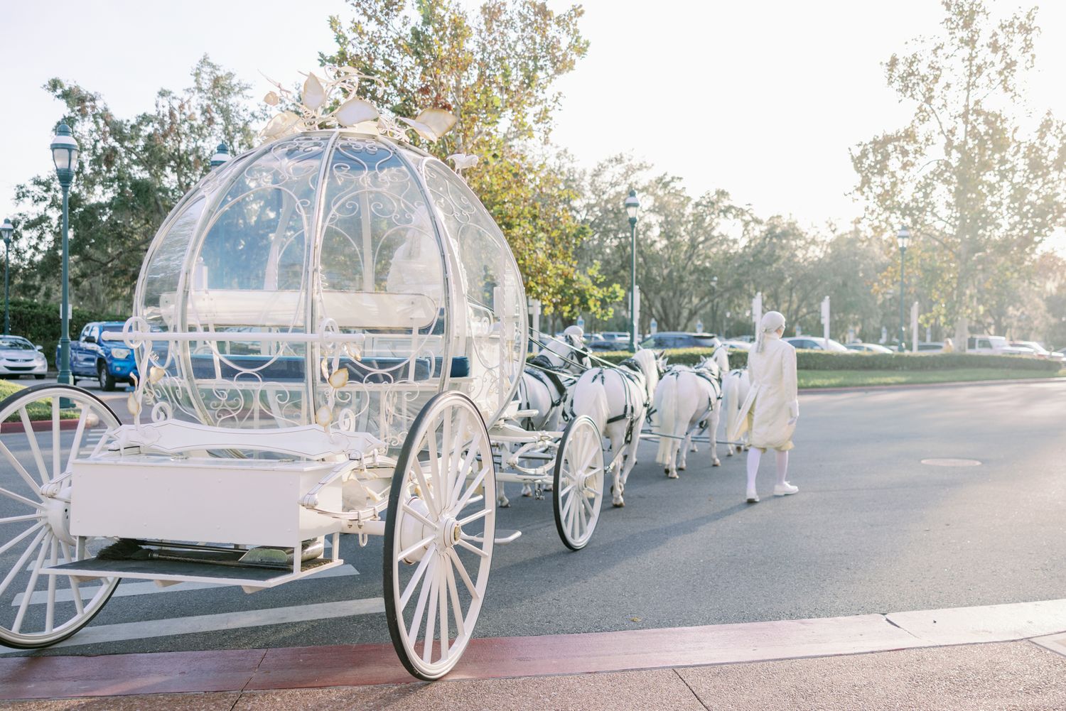 Elegant white Cinderella-style glass carriage pulled by white horses on sunny resort driveway.