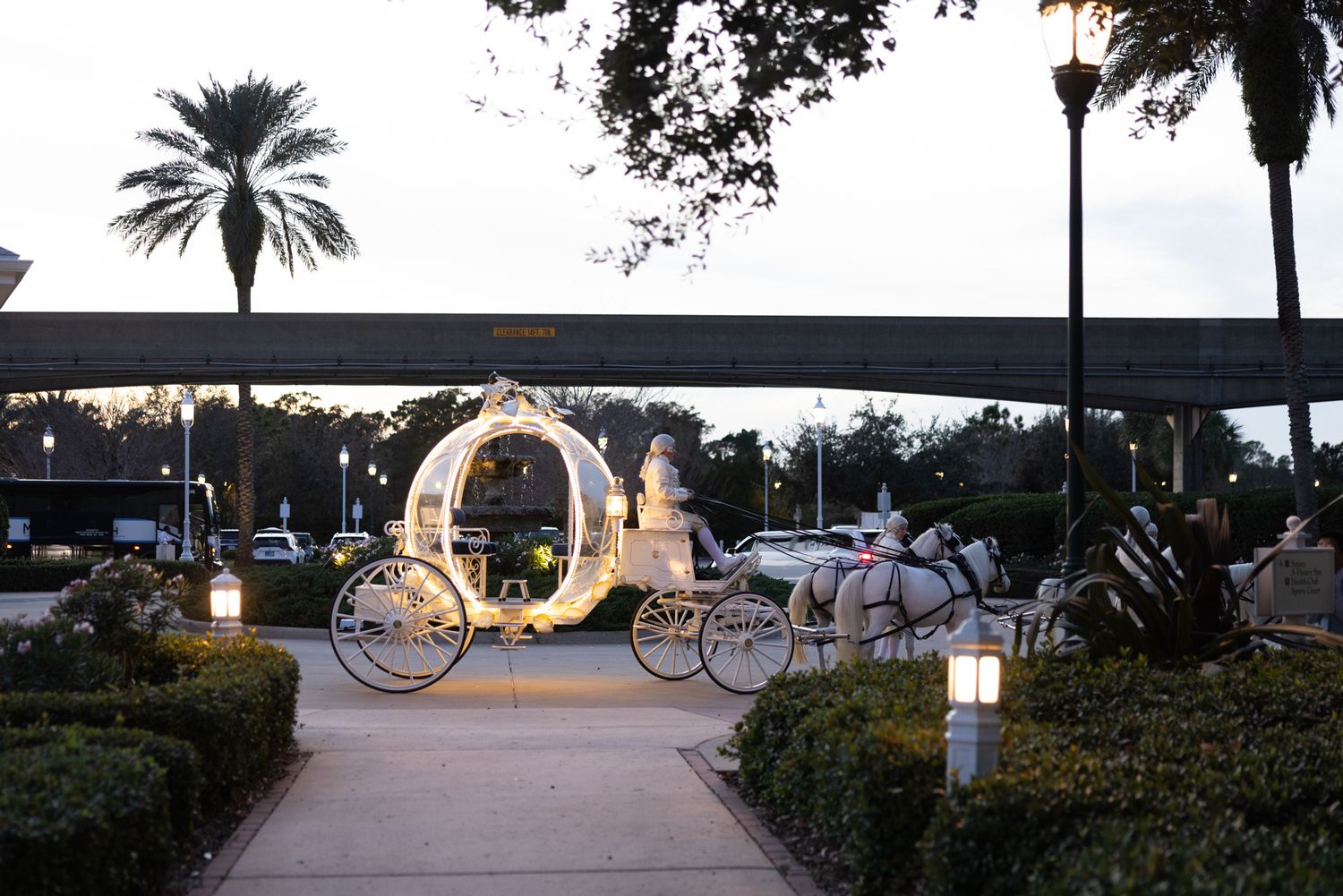 Illuminated Cinderella glass carriage with white horses at dusk outside Disney World resort entrance.