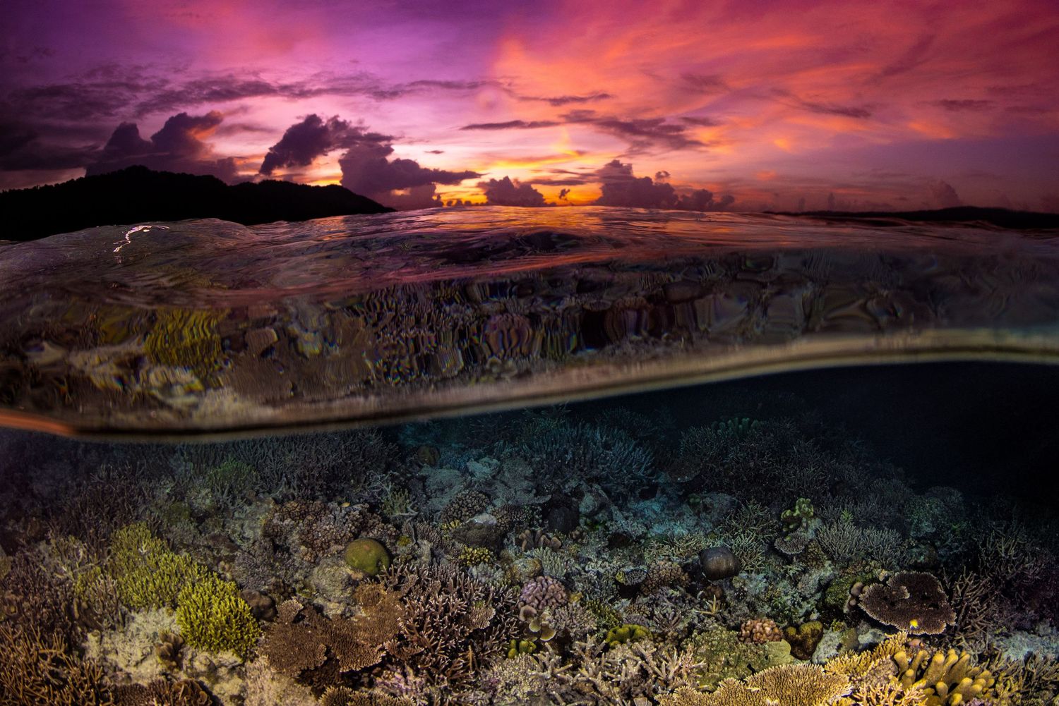 Stunning panoramic sunset over water with vibrant purple and orange clouds.