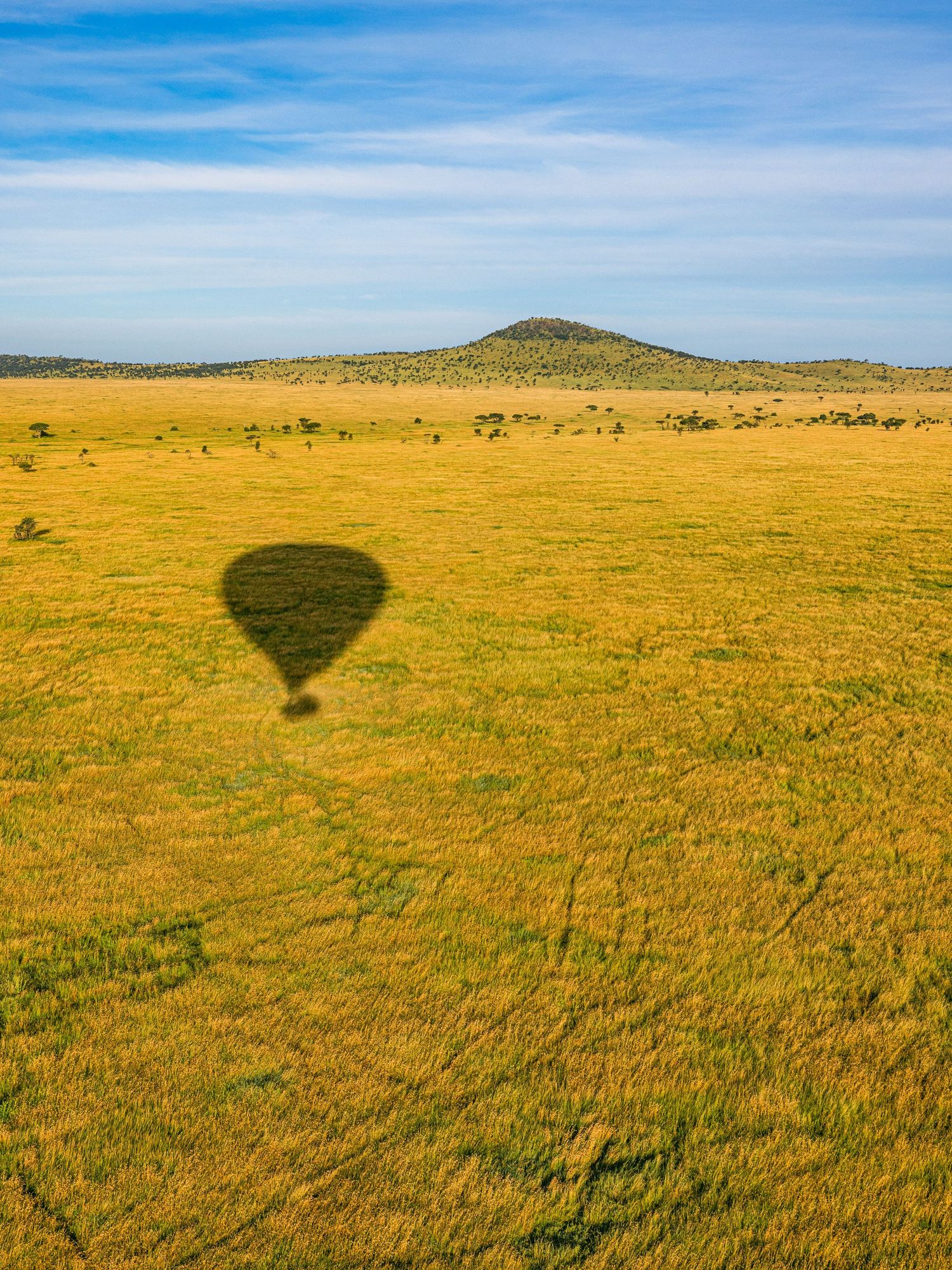 Aerial view of a hot air balloon shadow over golden savanna grasslands with a lone hill under blue skies.