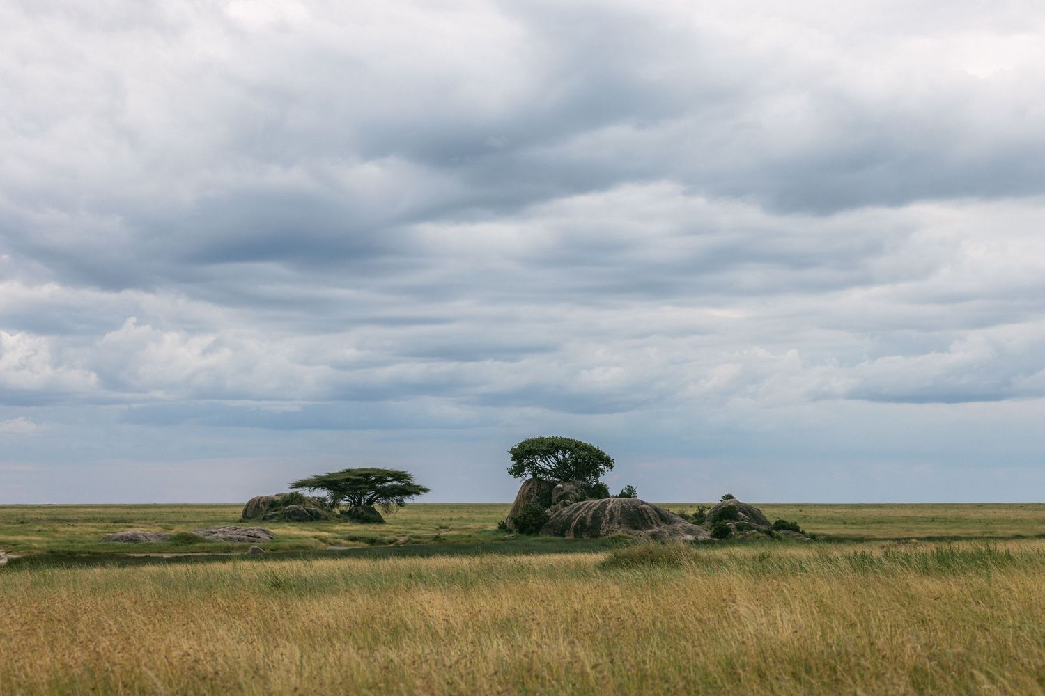 Vast African savanna with acacia trees and rocky outcrops under dramatic cloudy sky in the Serengeti.