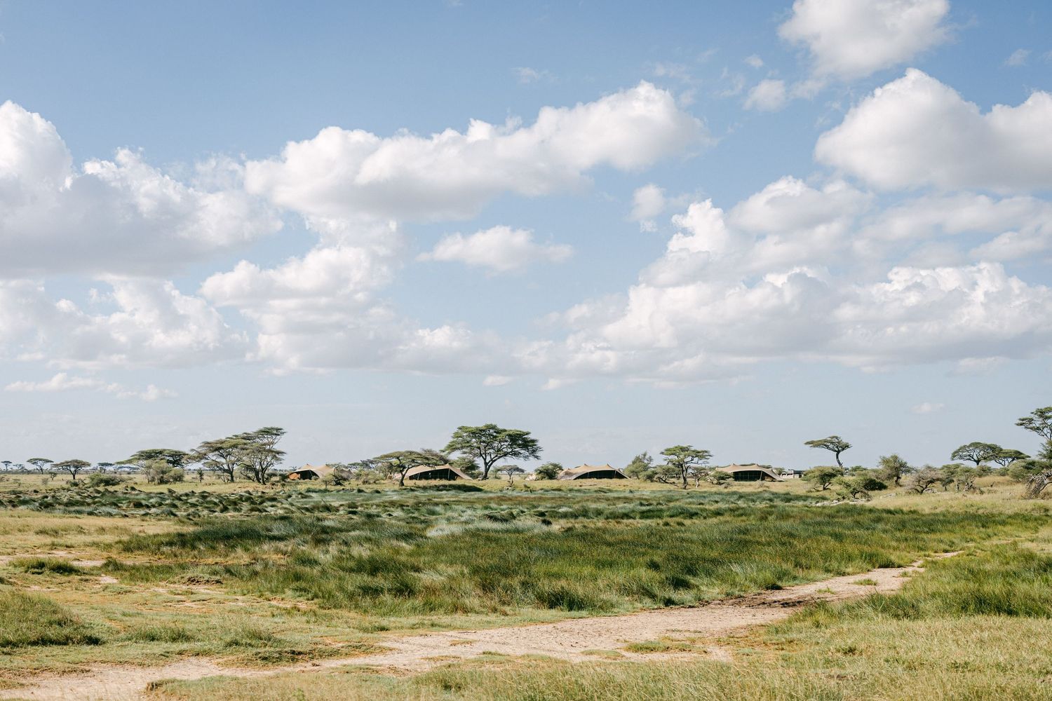 Vast African savanna landscape with scattered acacia trees, safari lodge structures, and dramatic cloudy sky in the Serengeti.