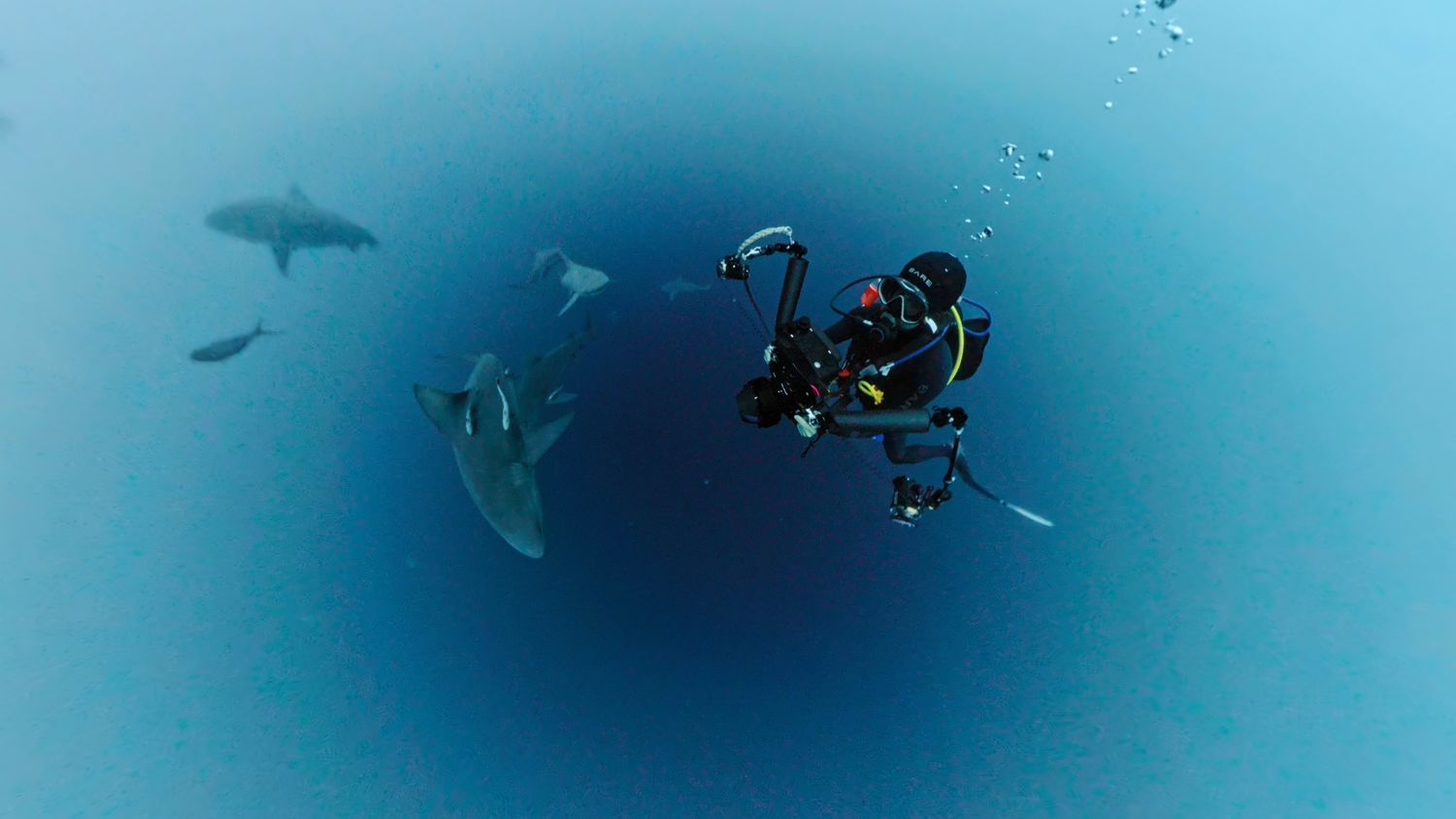 Scuba diver swimming in deep blue water with sharks silhouetted in the background.