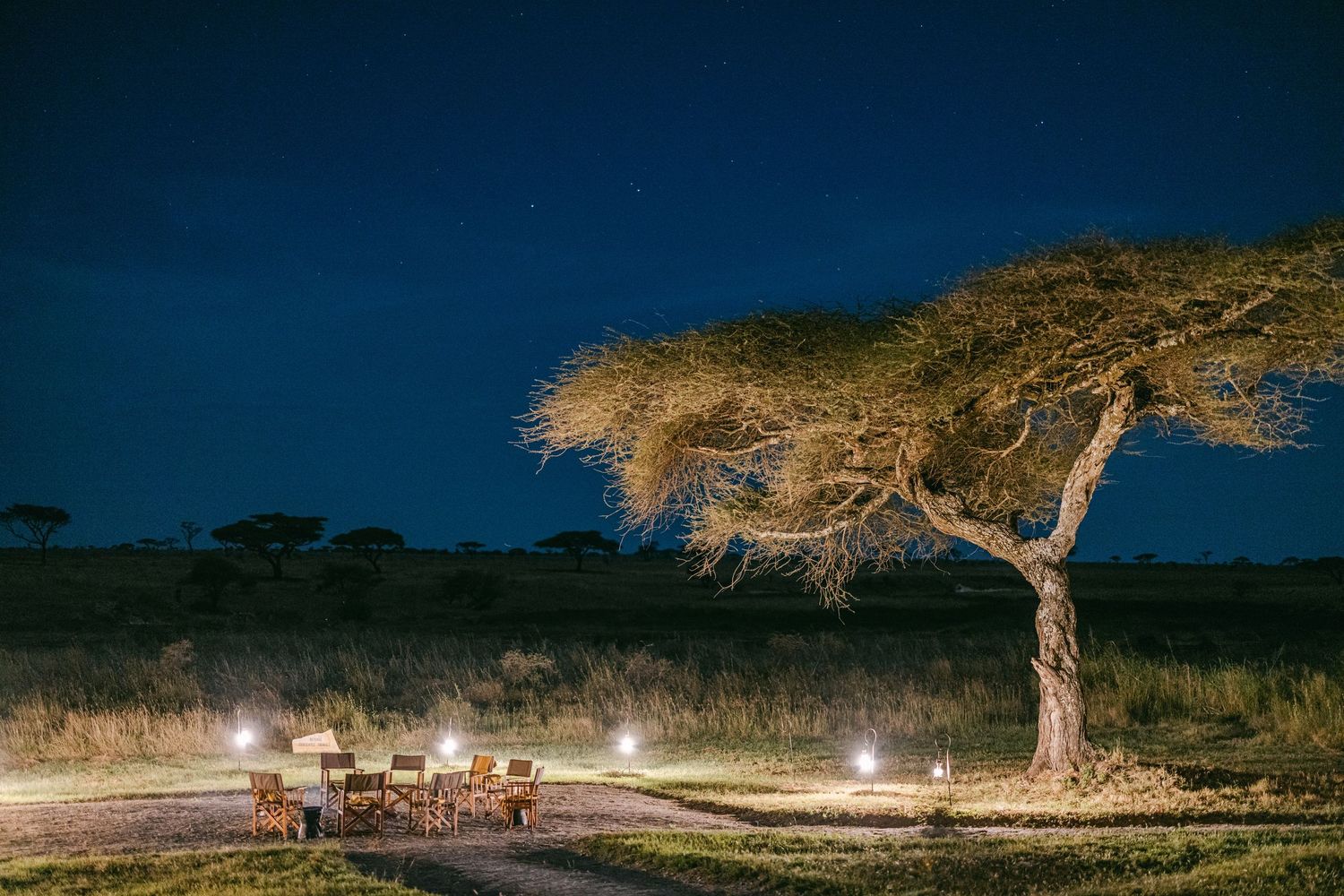 Romantic outdoor dining setup under an acacia tree illuminated by lanterns on the African savanna at night.