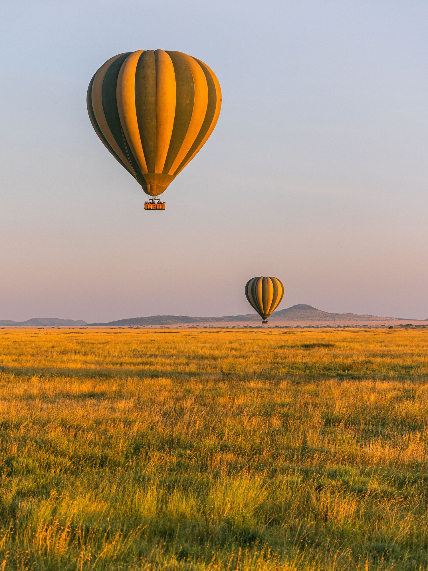 Two golden hot air balloons float over vast African savanna grasslands at sunset with distant hills on horizon.