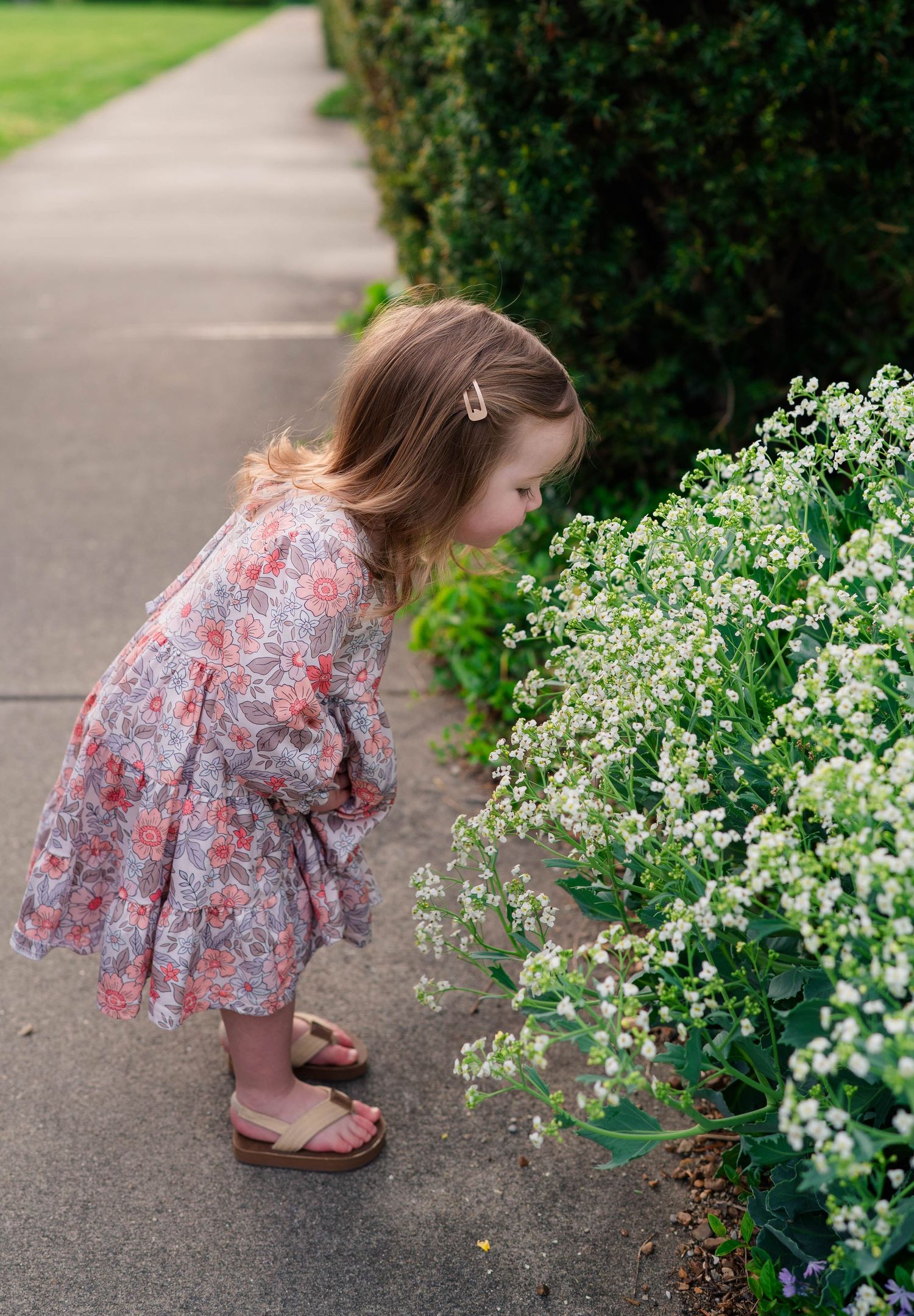Toddler girl in floral dress smelling white flowers in a garden.