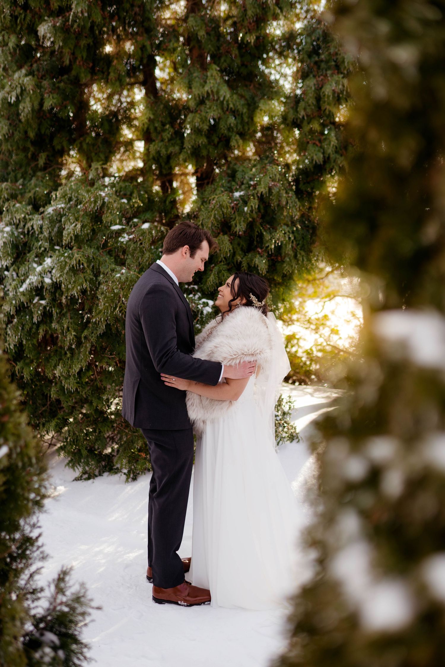 Bride and groom share romantic moment among snow-covered evergreen trees with golden sunlight glowing behind them.