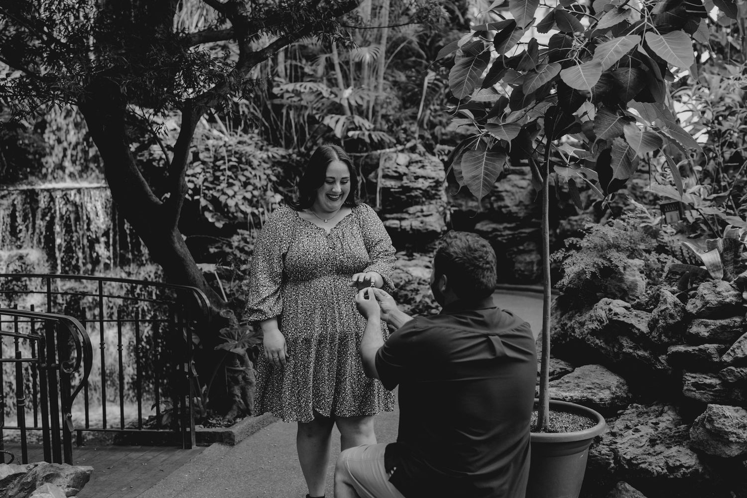 Man proposing to woman in lush greenhouse garden, black and white engagement photo.