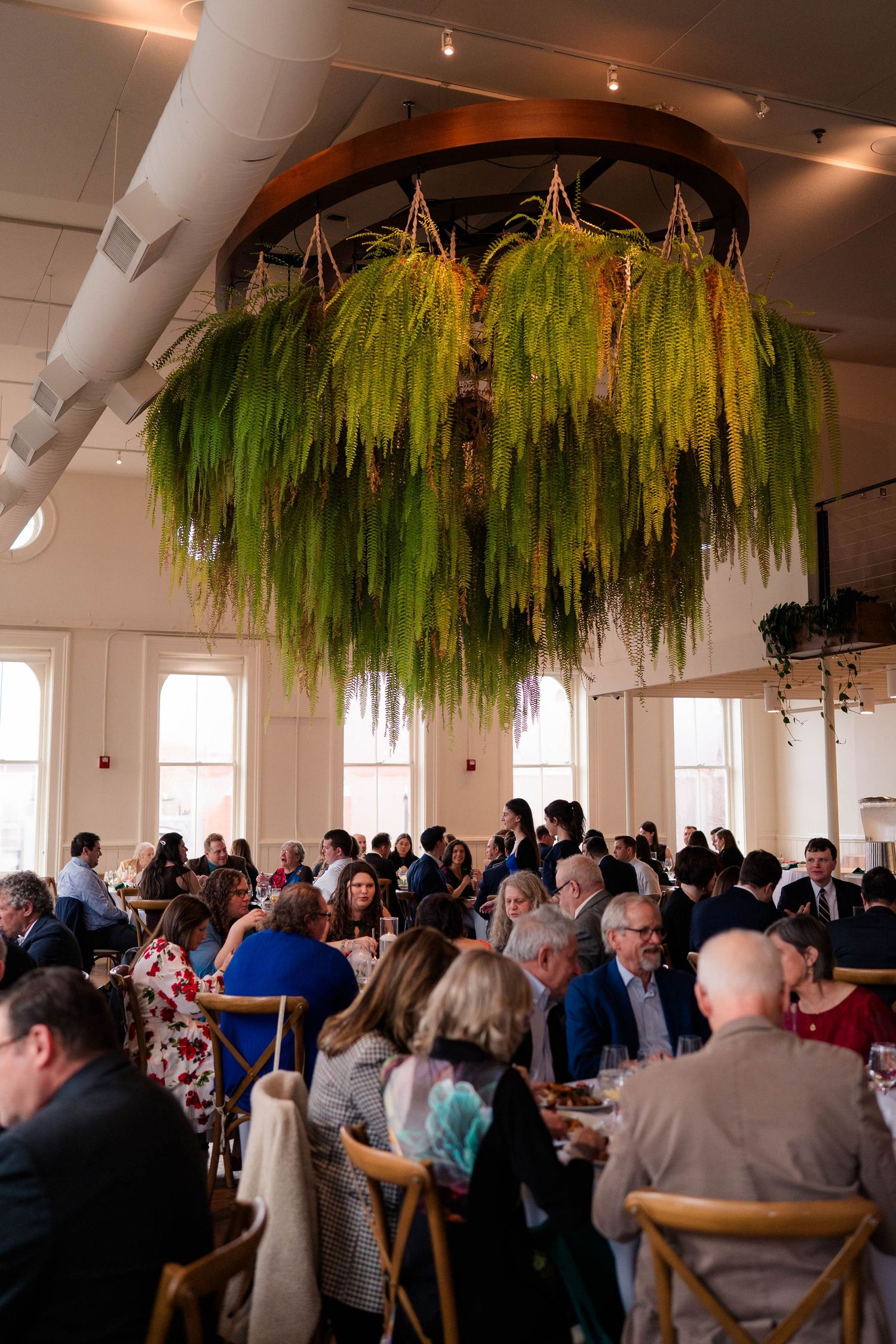Wedding reception guests dining under stunning hanging green fern chandelier in bright venue.