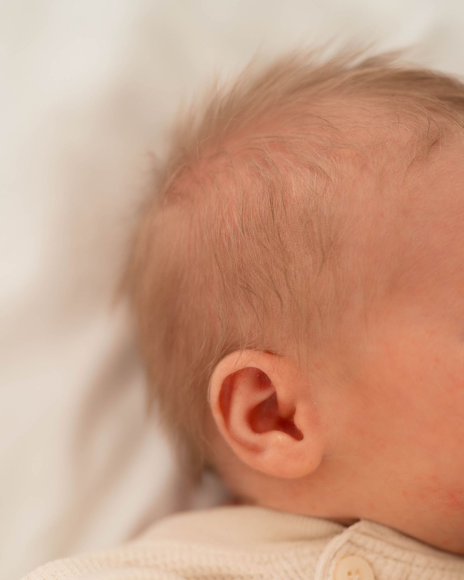 Close-up detail of a sleeping newborn baby's ear and fine hair against a soft white background.