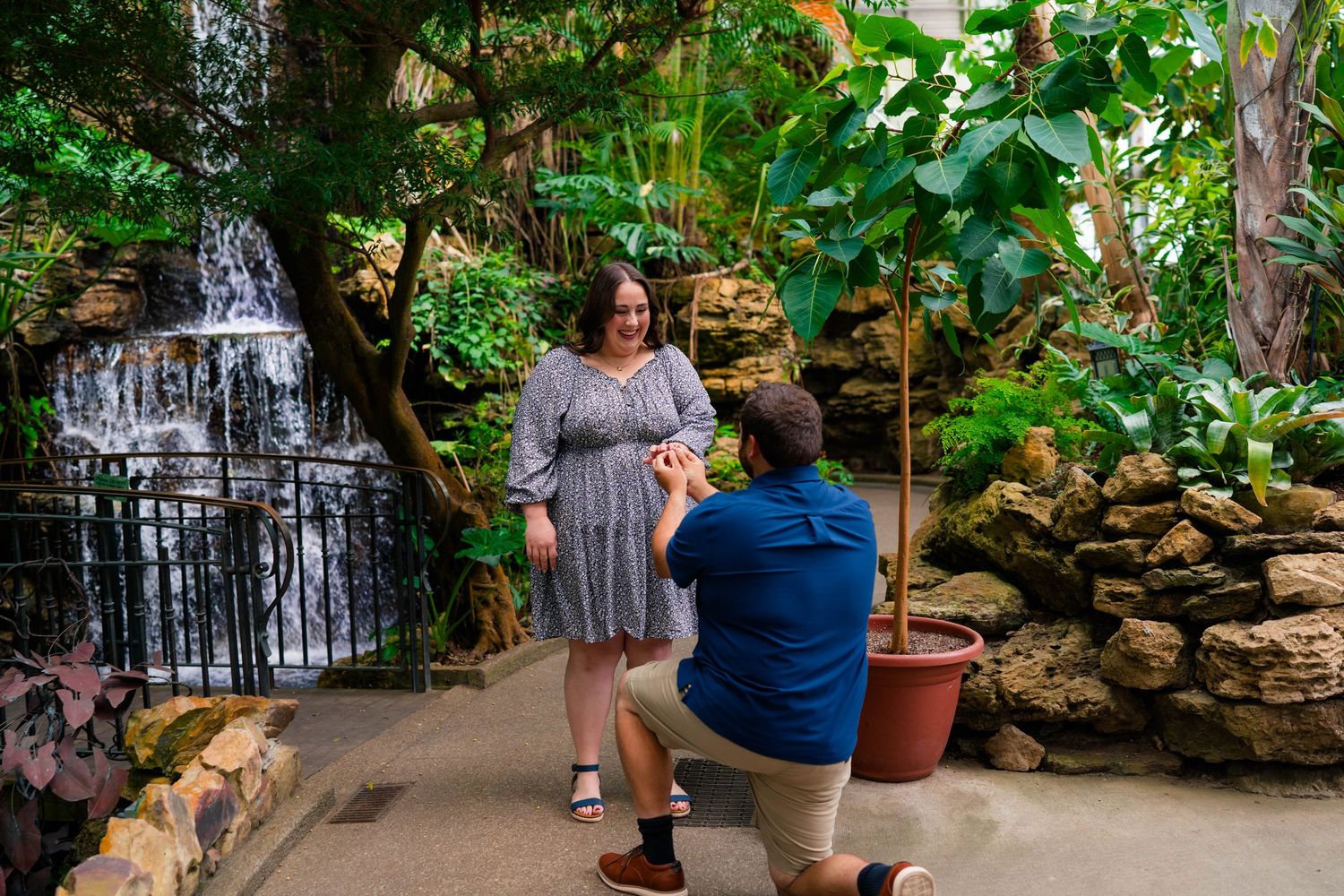 Romantic marriage proposal moment beside a waterfall and tropical plants in a greenhouse.