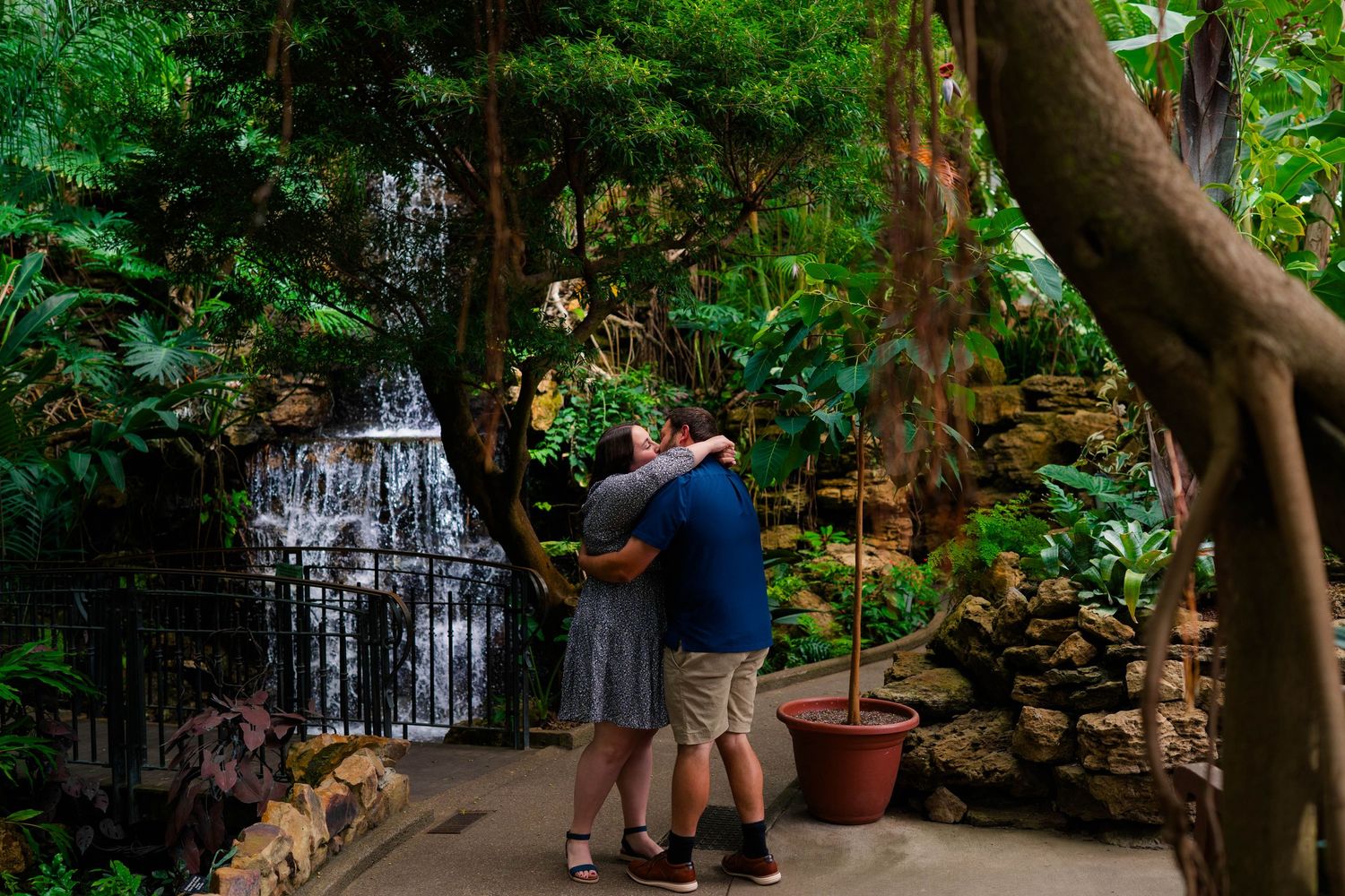 Newly engaged couple embracing near a waterfall inside a lush tropical botanical garden.