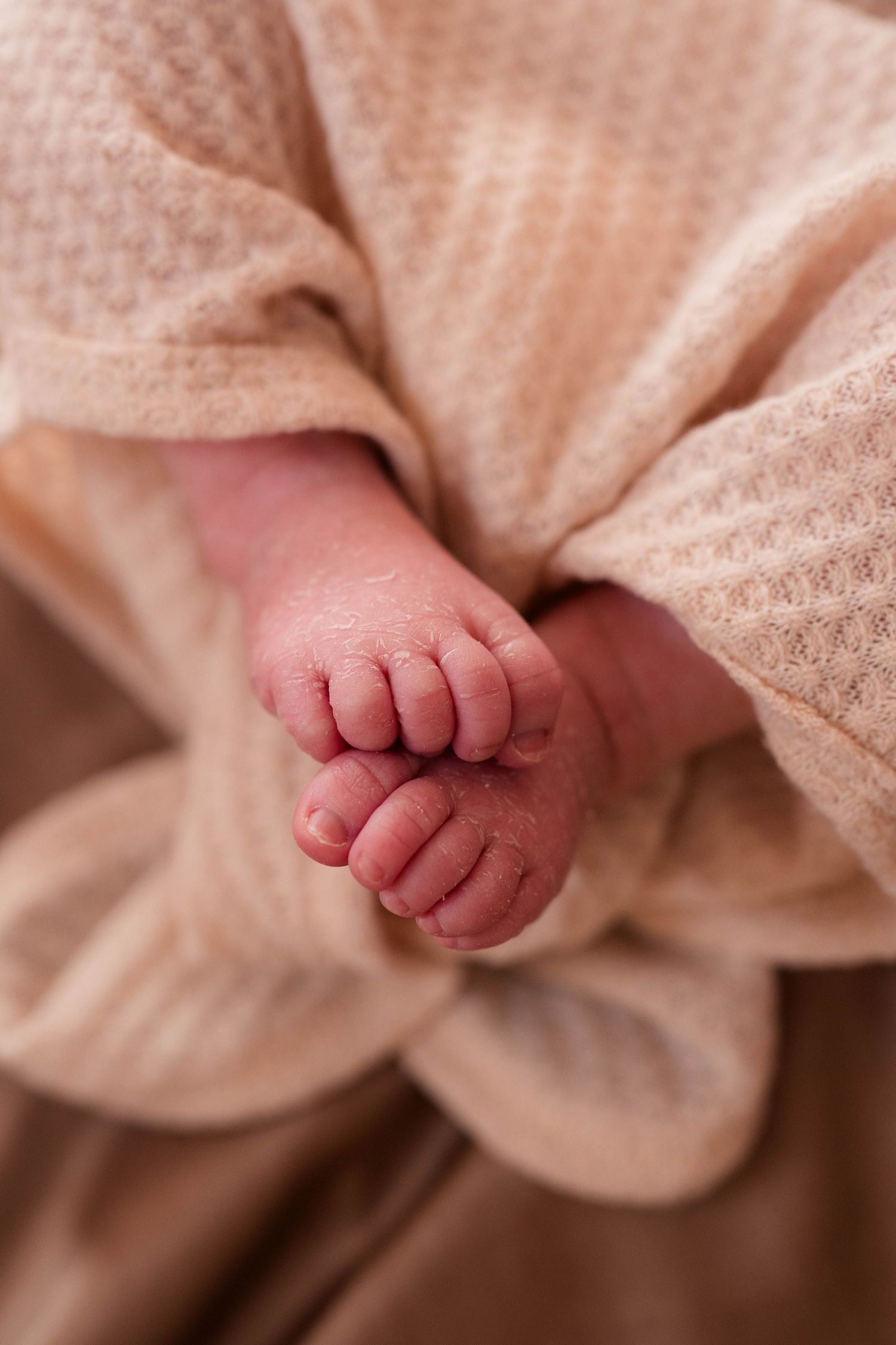 Close-up of a newborn baby's tiny feet wrapped in a soft peach knit blanket.