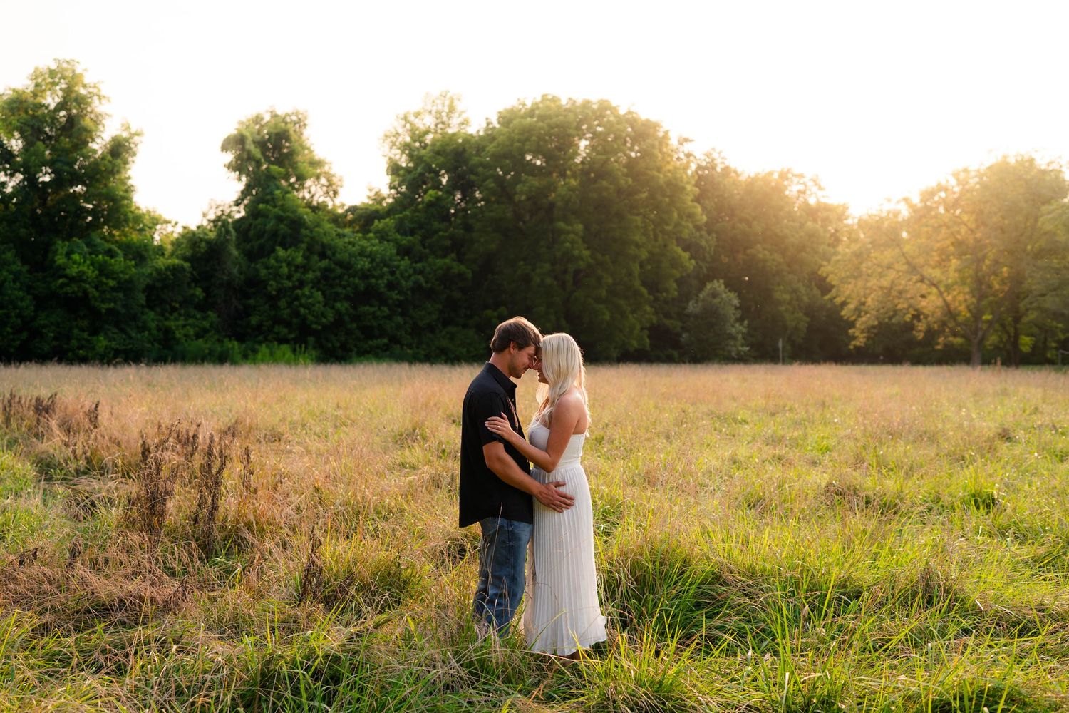 Couple sharing a romantic kiss in a golden sunlit field with lush green trees in the background.