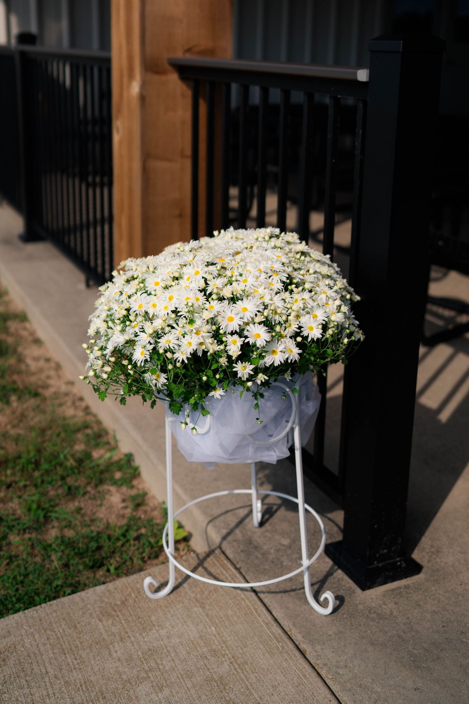 White daisy flower arrangement in pot on decorative white stand beside black iron railing outdoors.