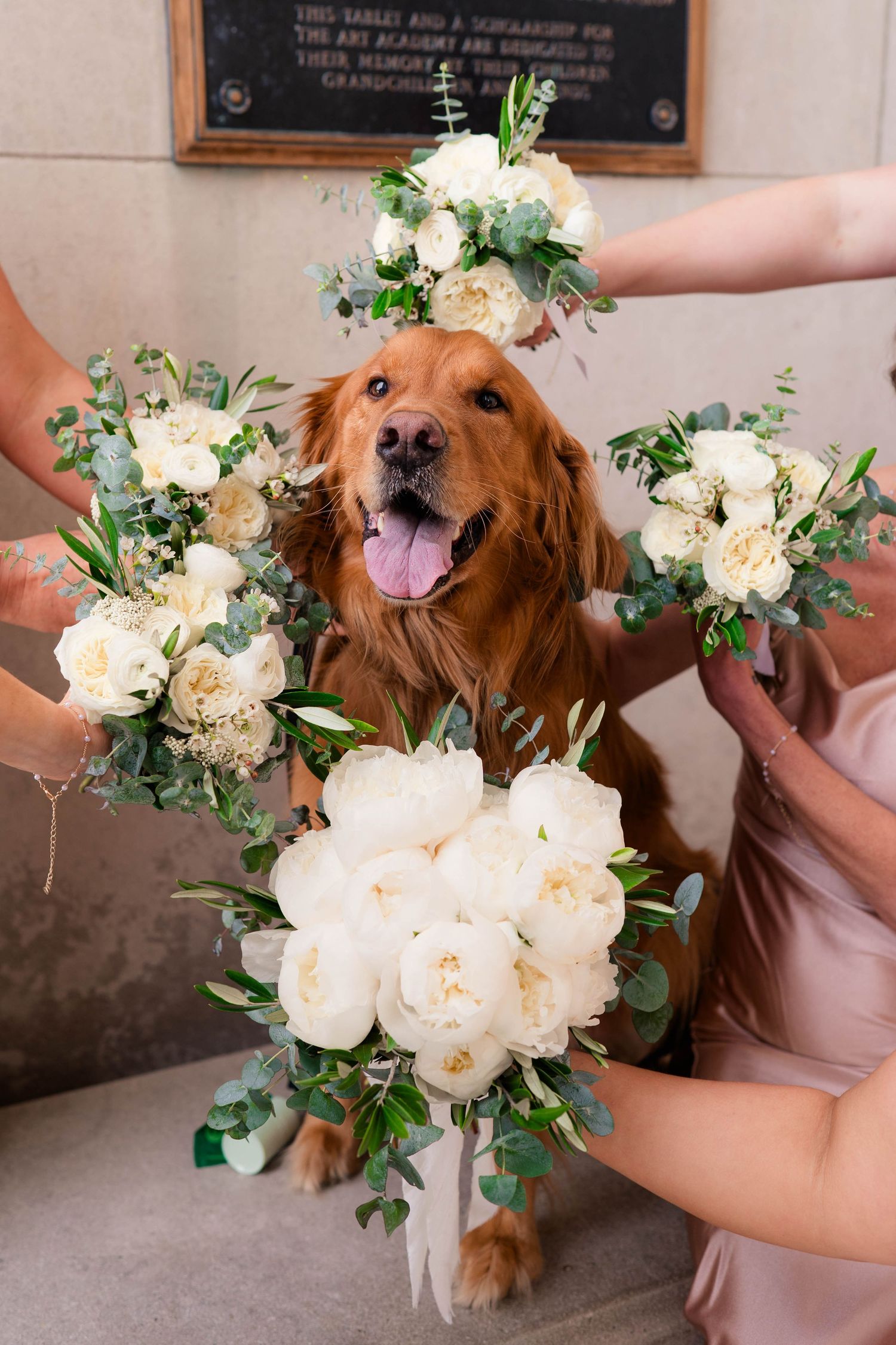 Happy golden retriever surrounded by white rose and eucalyptus wedding bouquets with a floral crown on its head.