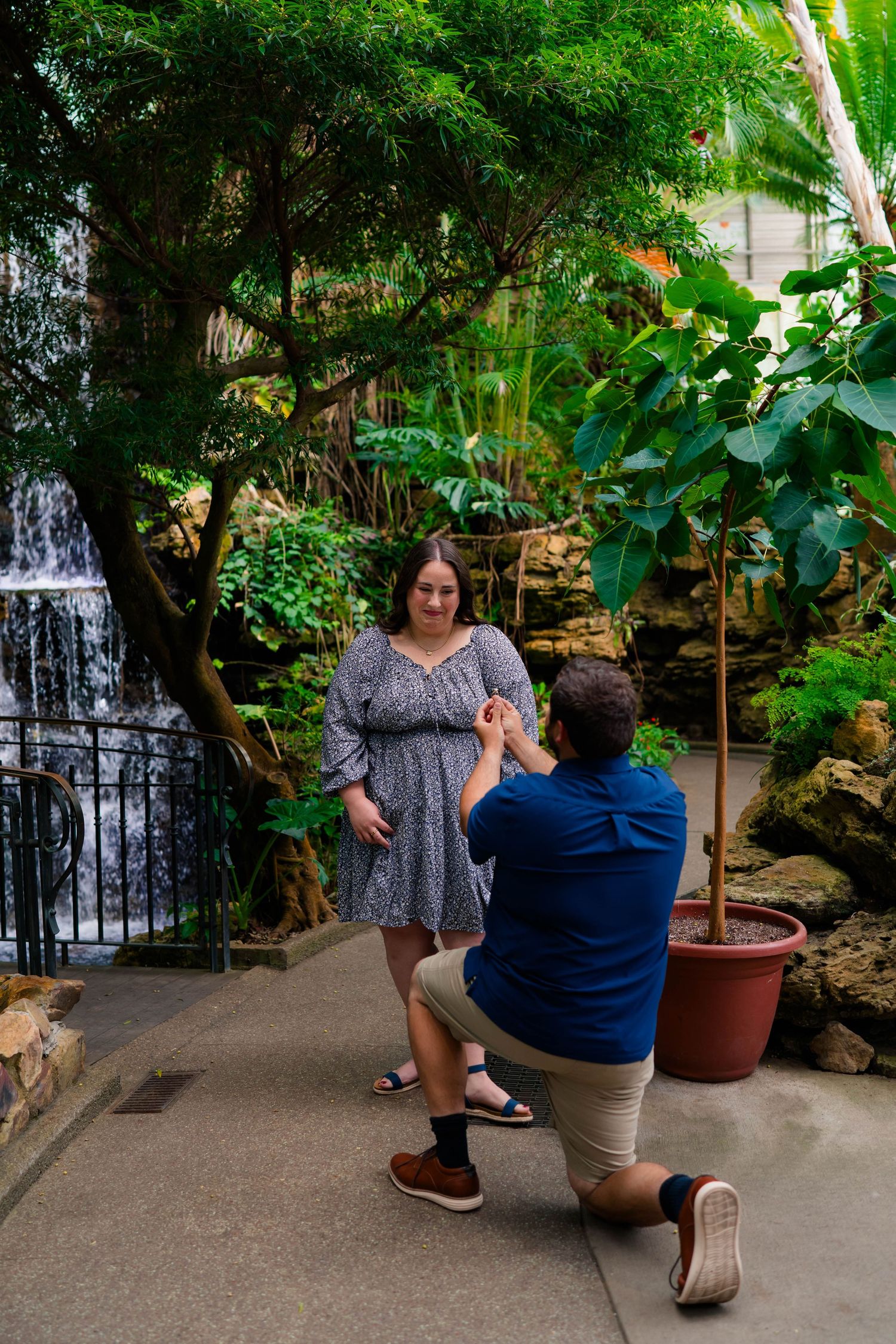 Man kneeling on one knee proposing to woman in a tropical greenhouse with waterfall backdrop.