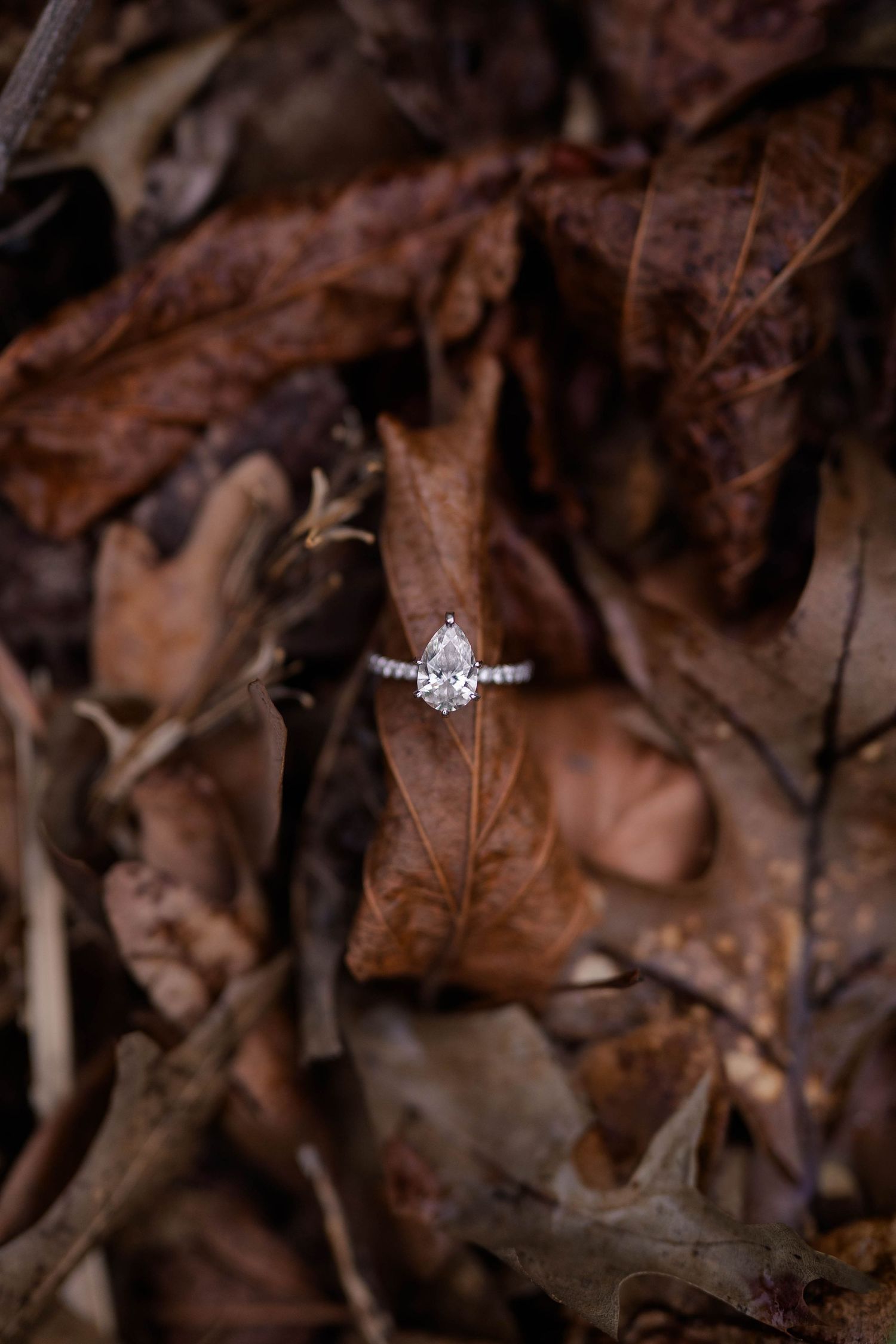Elegant pear-shaped diamond engagement ring with pavé band resting on rustic autumn fallen leaves.