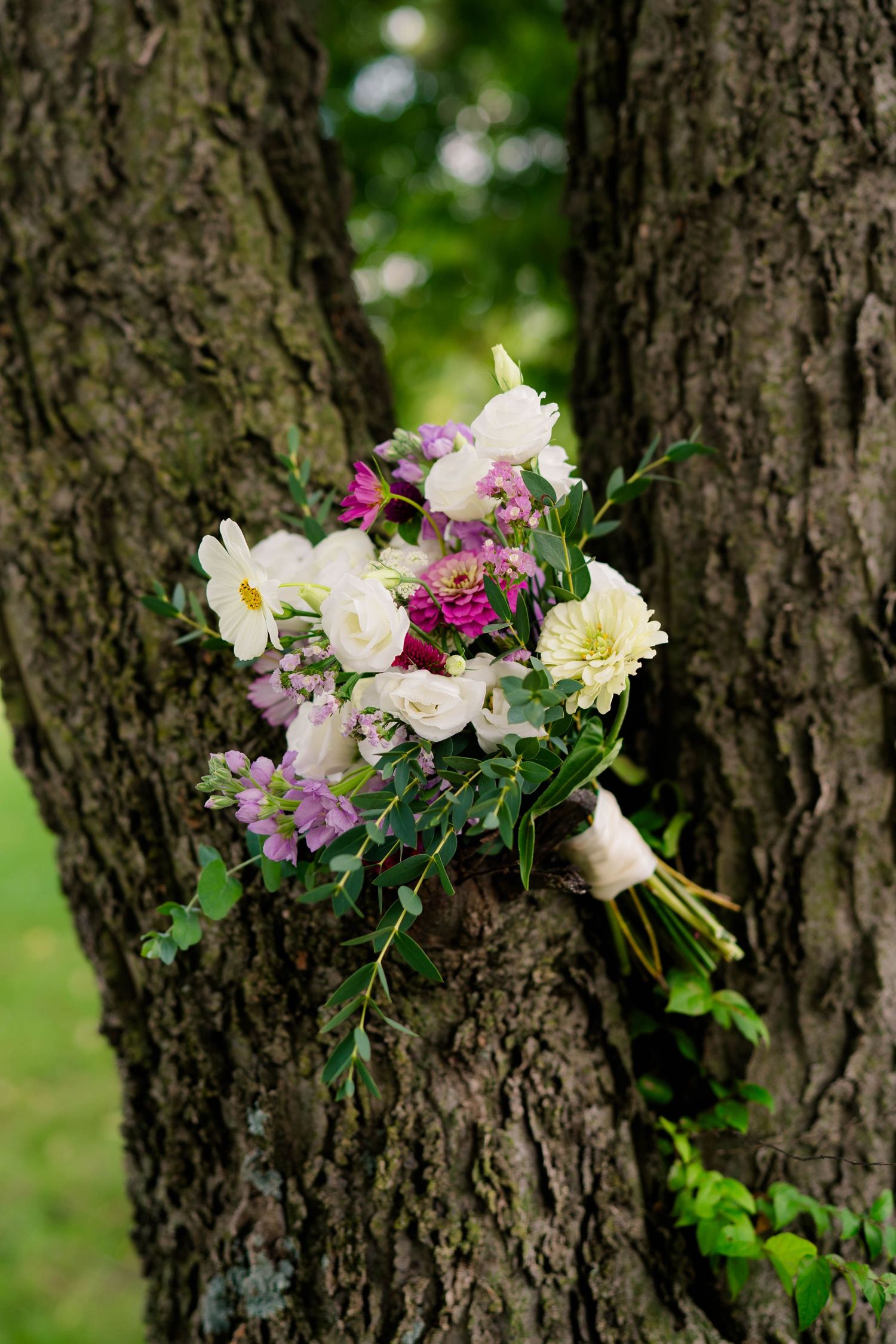 Bridal bouquet with white and pink flowers resting in a tree fork outdoors.