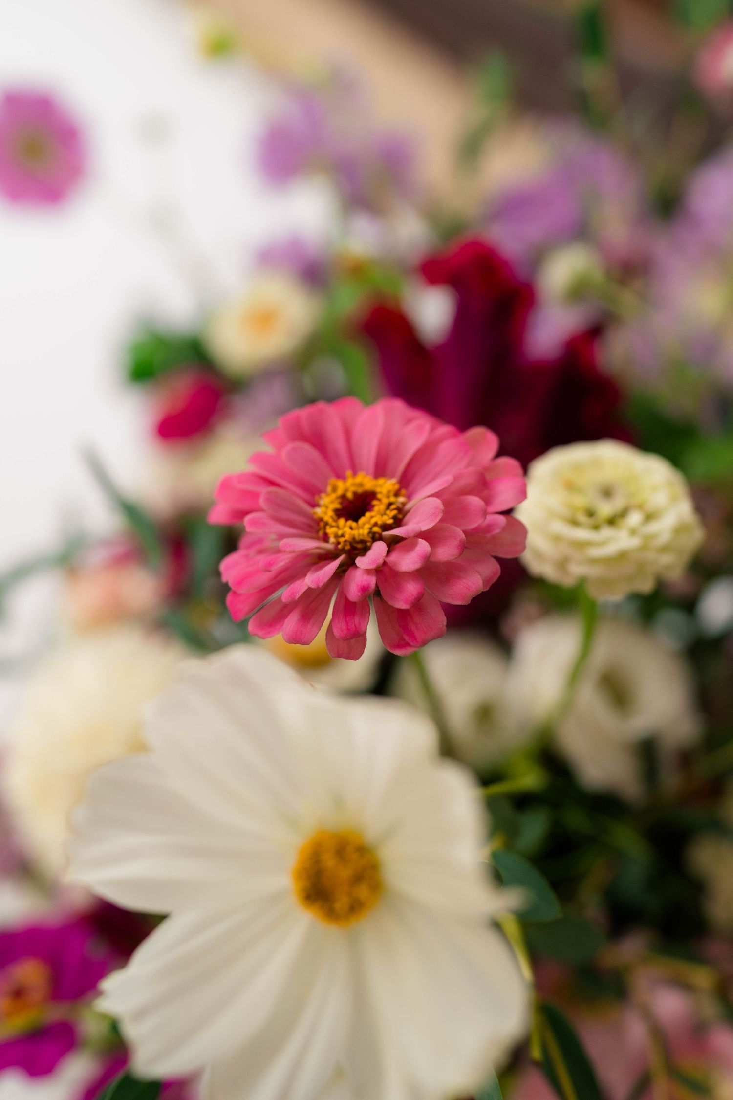 A vibrant bouquet featuring a pink zinnia and white cosmos surrounded by colorful mixed flowers.