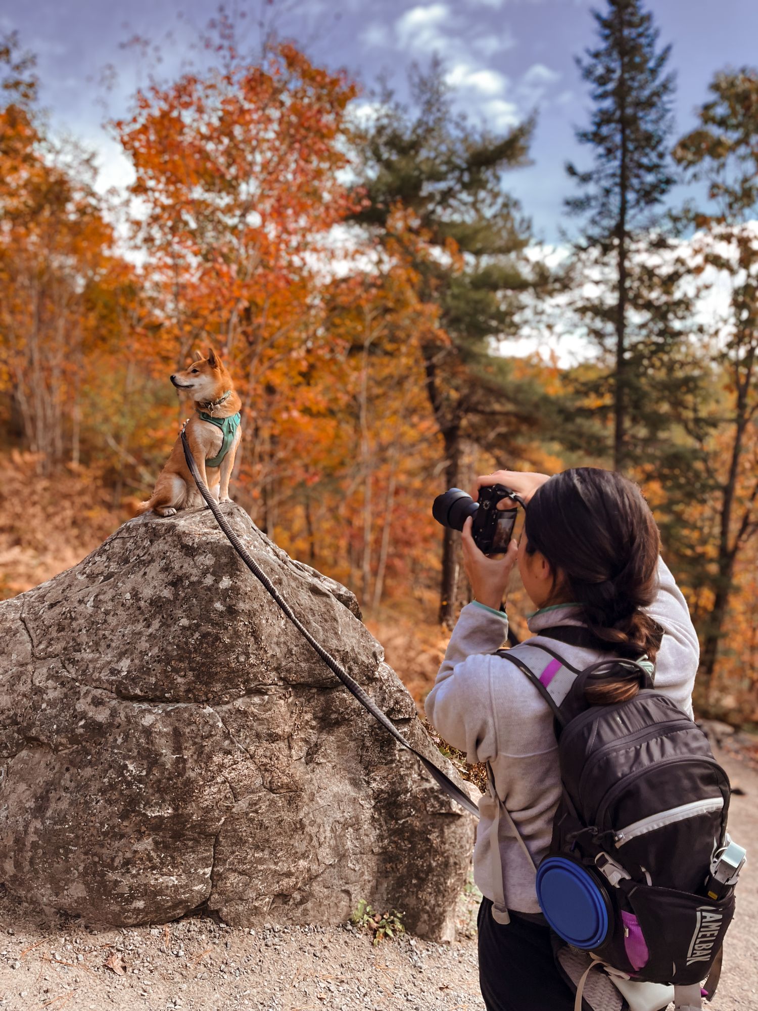 Woman photographs small dog perched on large rock surrounded by vibrant autumn foliage during a fall hike.