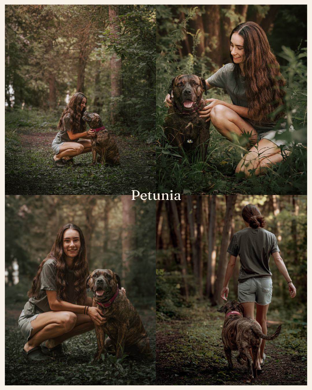 Woman and her chocolate Labrador dog named Petunia posing together in a lush green forest setting.