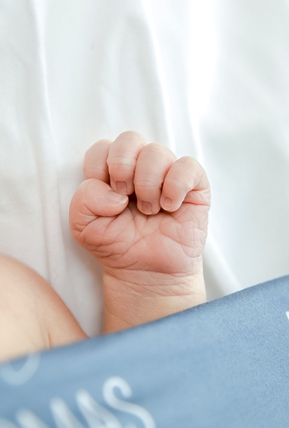 Close-up of a newborn baby fist clenched against a white and blue blanket.
by Andrew Fein Photography - Family and Newborn Photo