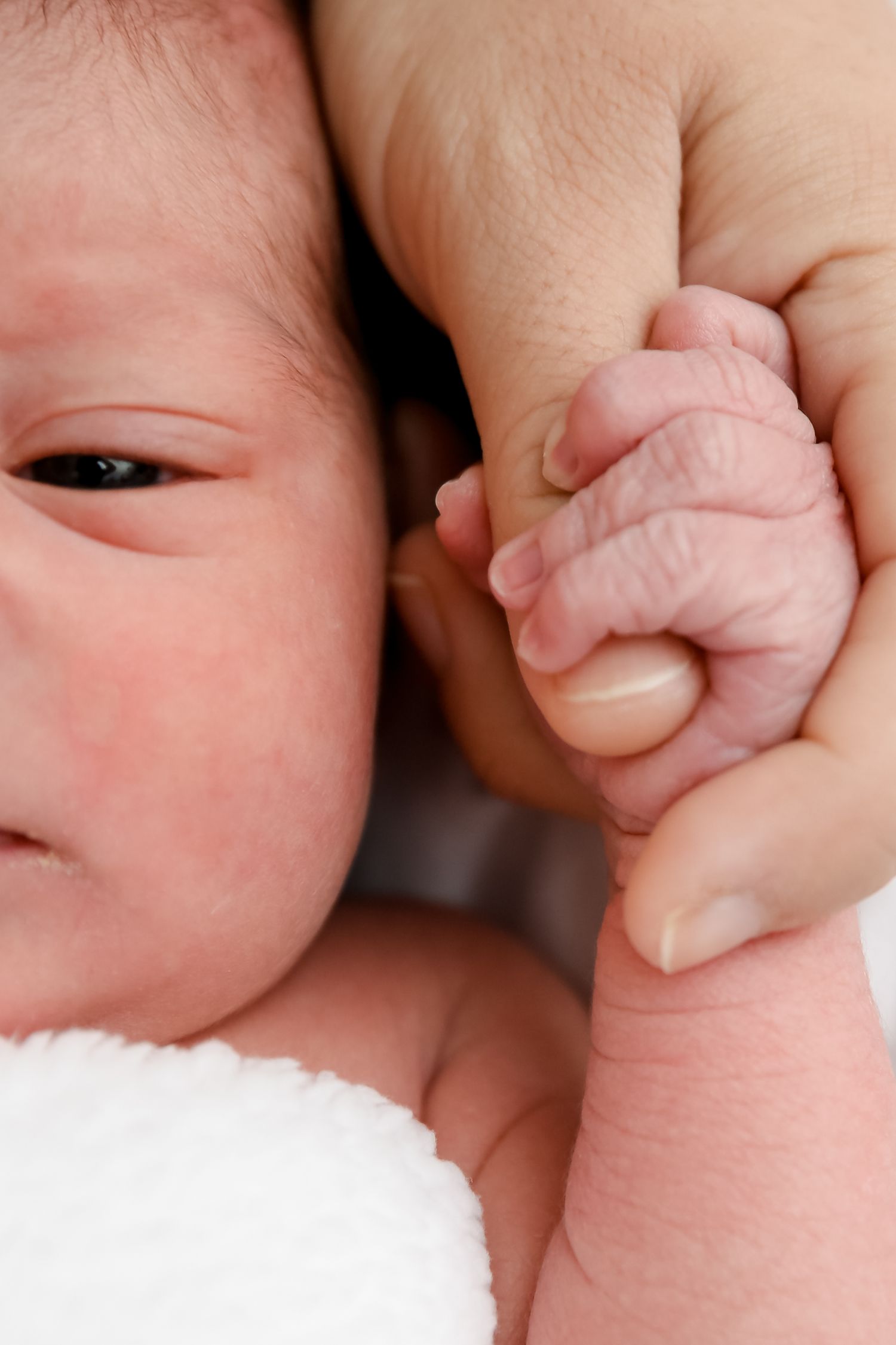 Newborn baby grasping an adult finger with tiny hand on white blanket.
by Andrew Fein Photography - Family and Newborn Photo