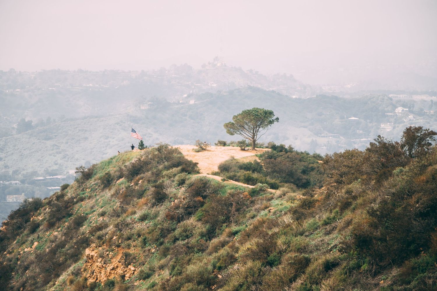 Misty hilltop with a lone pine tree and two people enjoying a scenic overlook. by Andrew Fein Photography - Family and Newborn Photographer